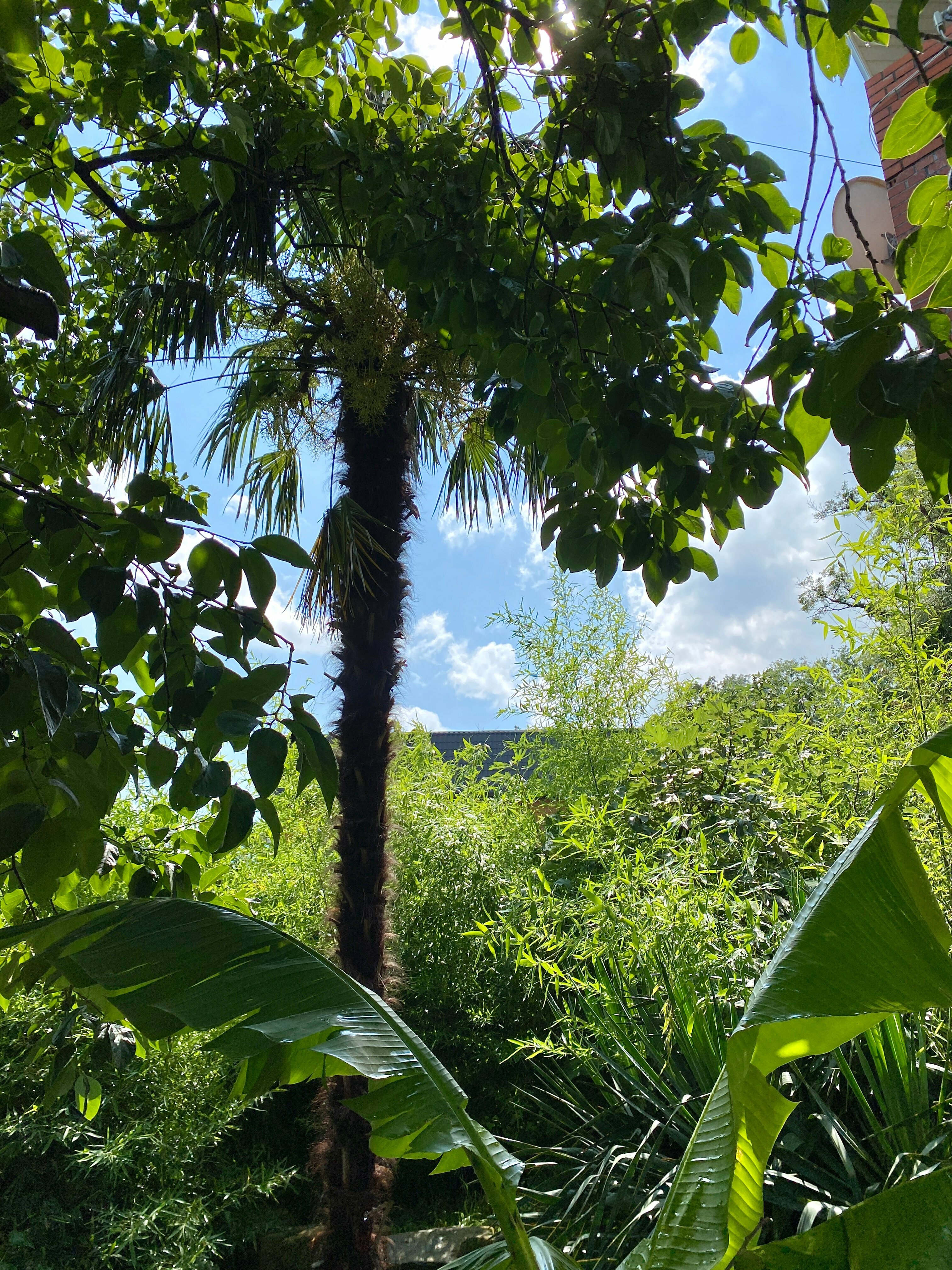 Двухместный с 1 кроватью или 2 отдельными кроватями и душем