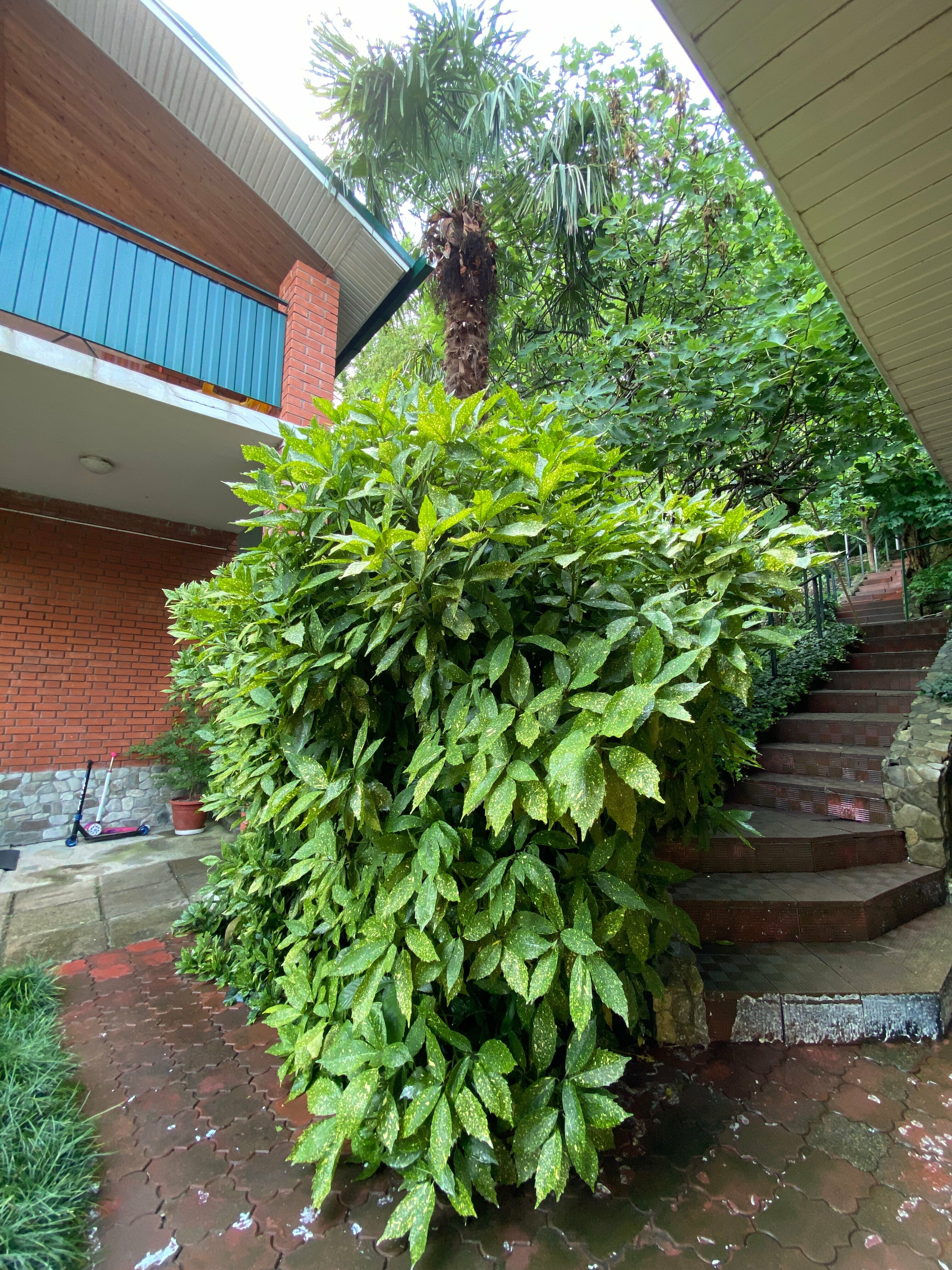 Апартаменты с видом на море