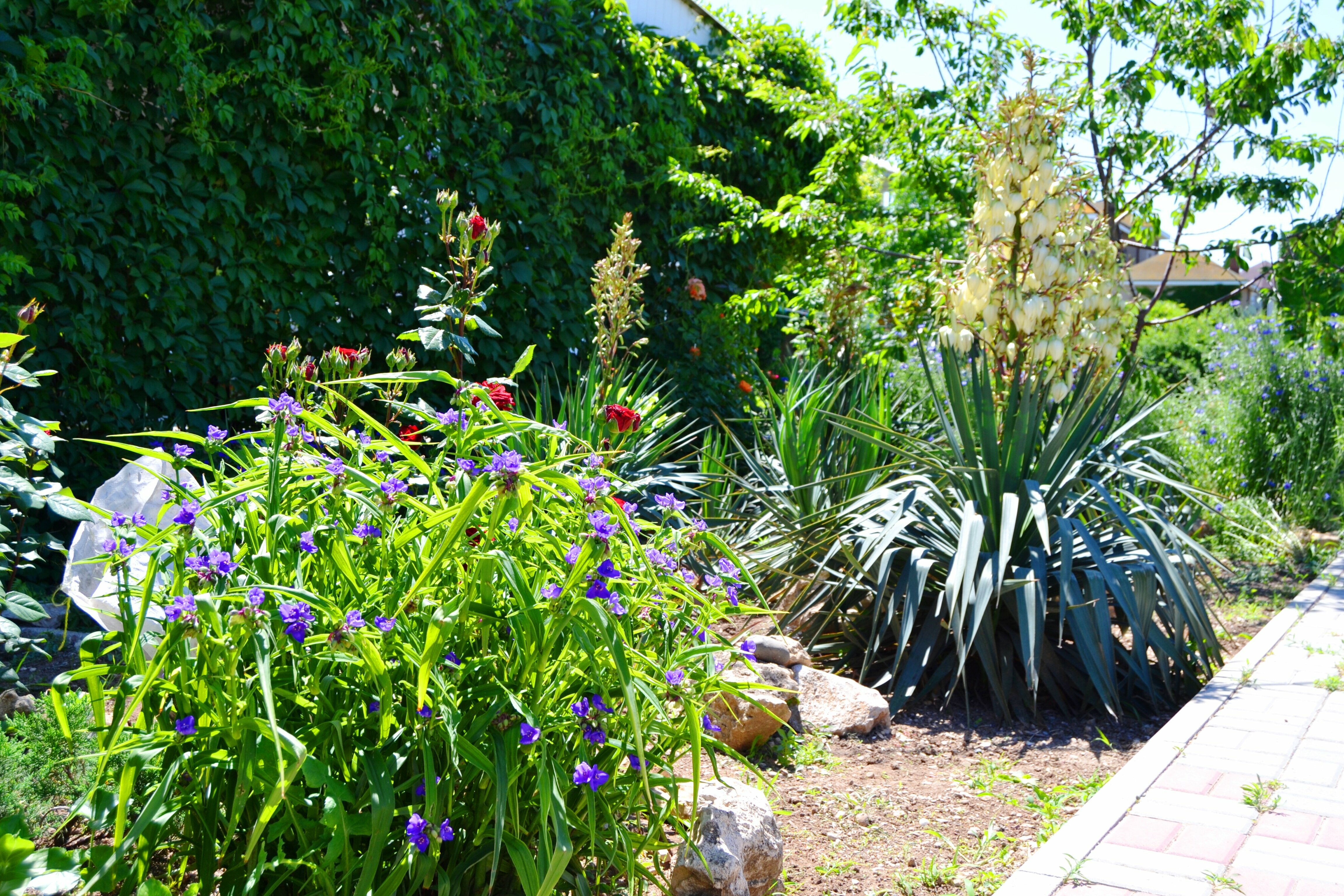 Трехместный номер с кондиционеров