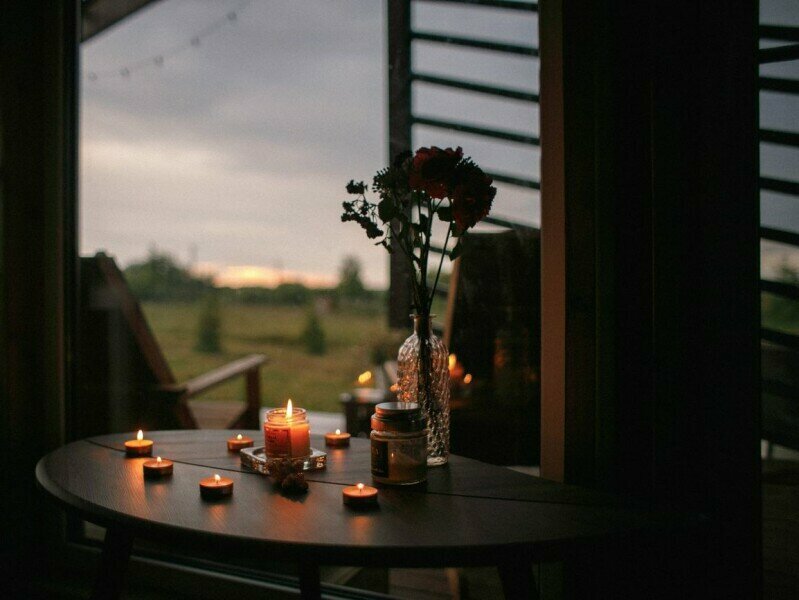 Дом с видом на лес