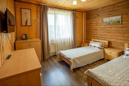 Двухместный номер с 2 отдельными кроватями, вид на горы