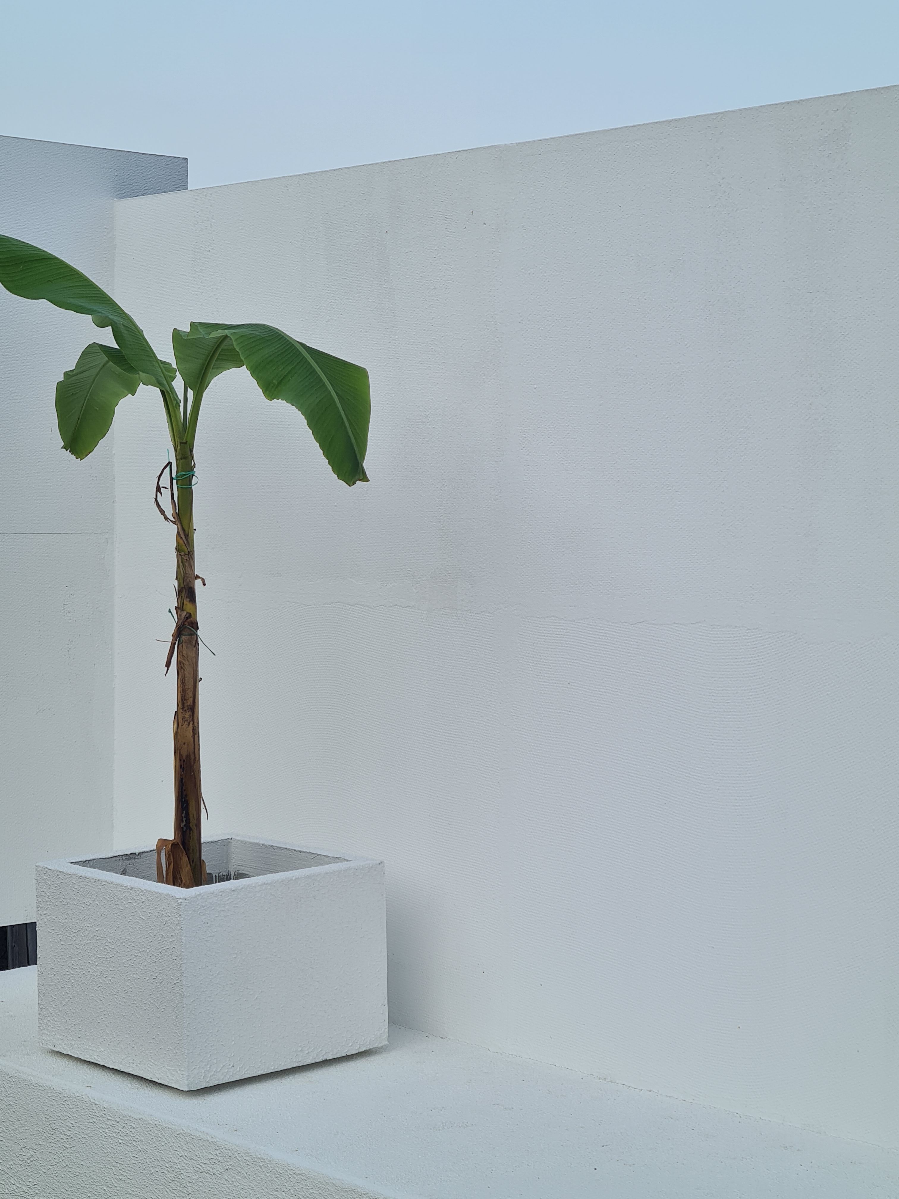 Четырехместный номер с балконом