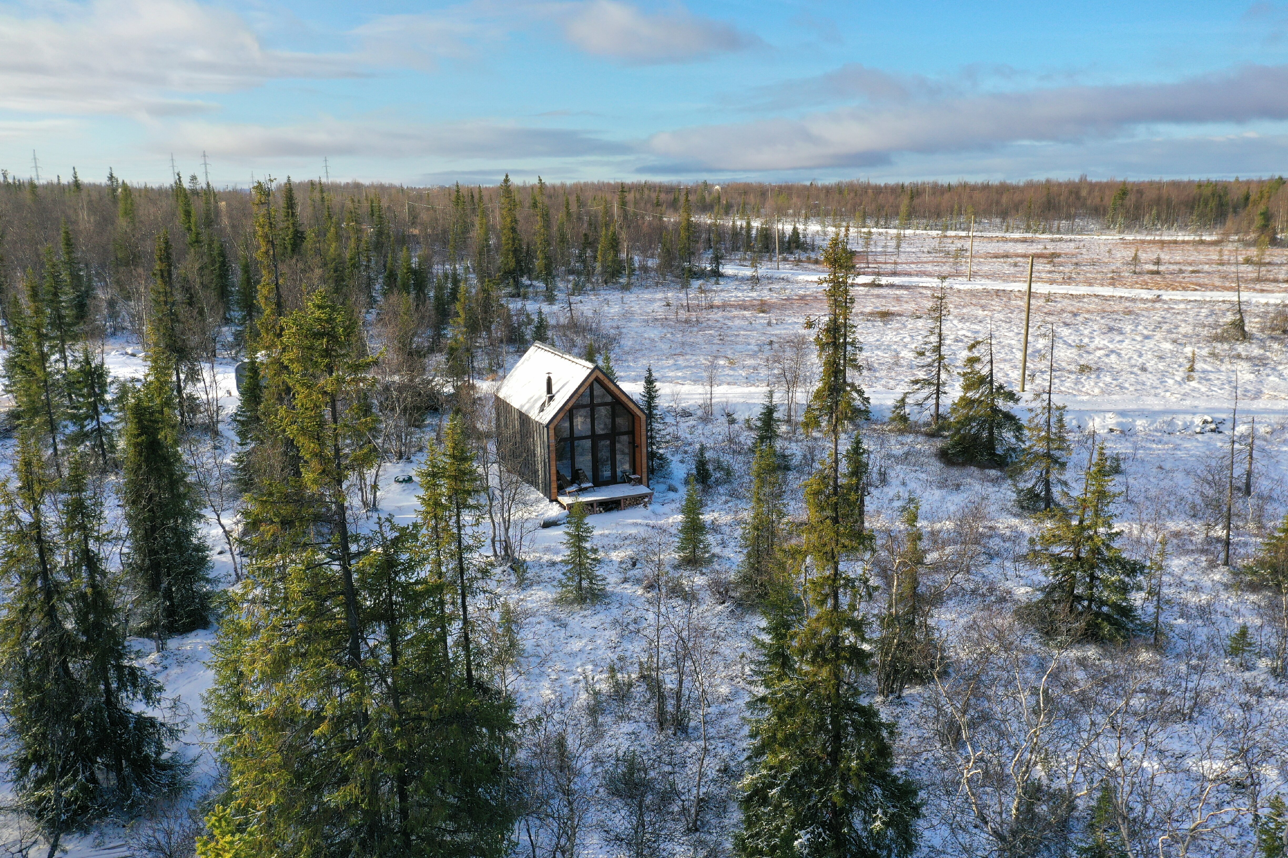 Коттедж с видом на лес