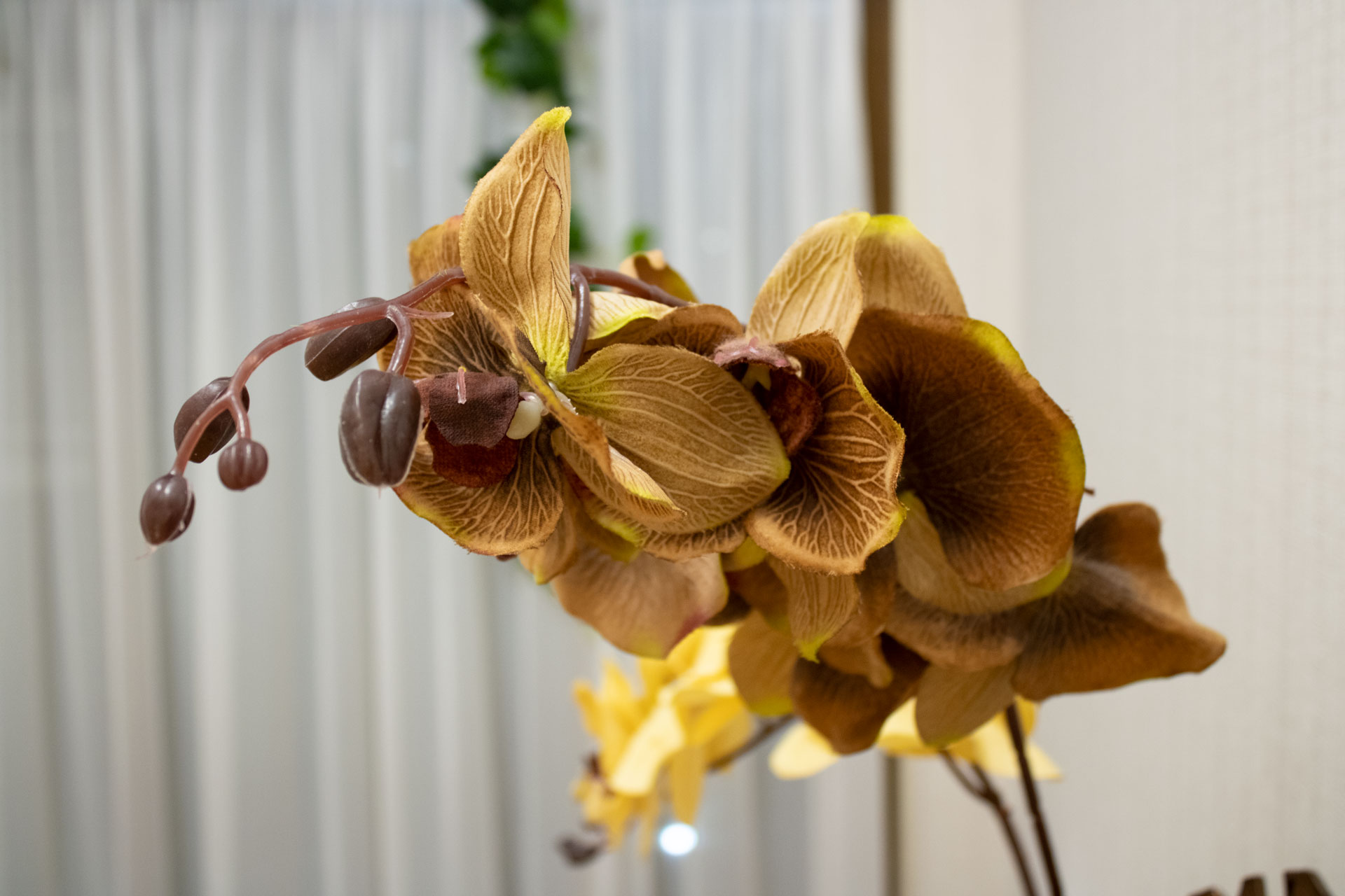 Двухуровневые апартаменты