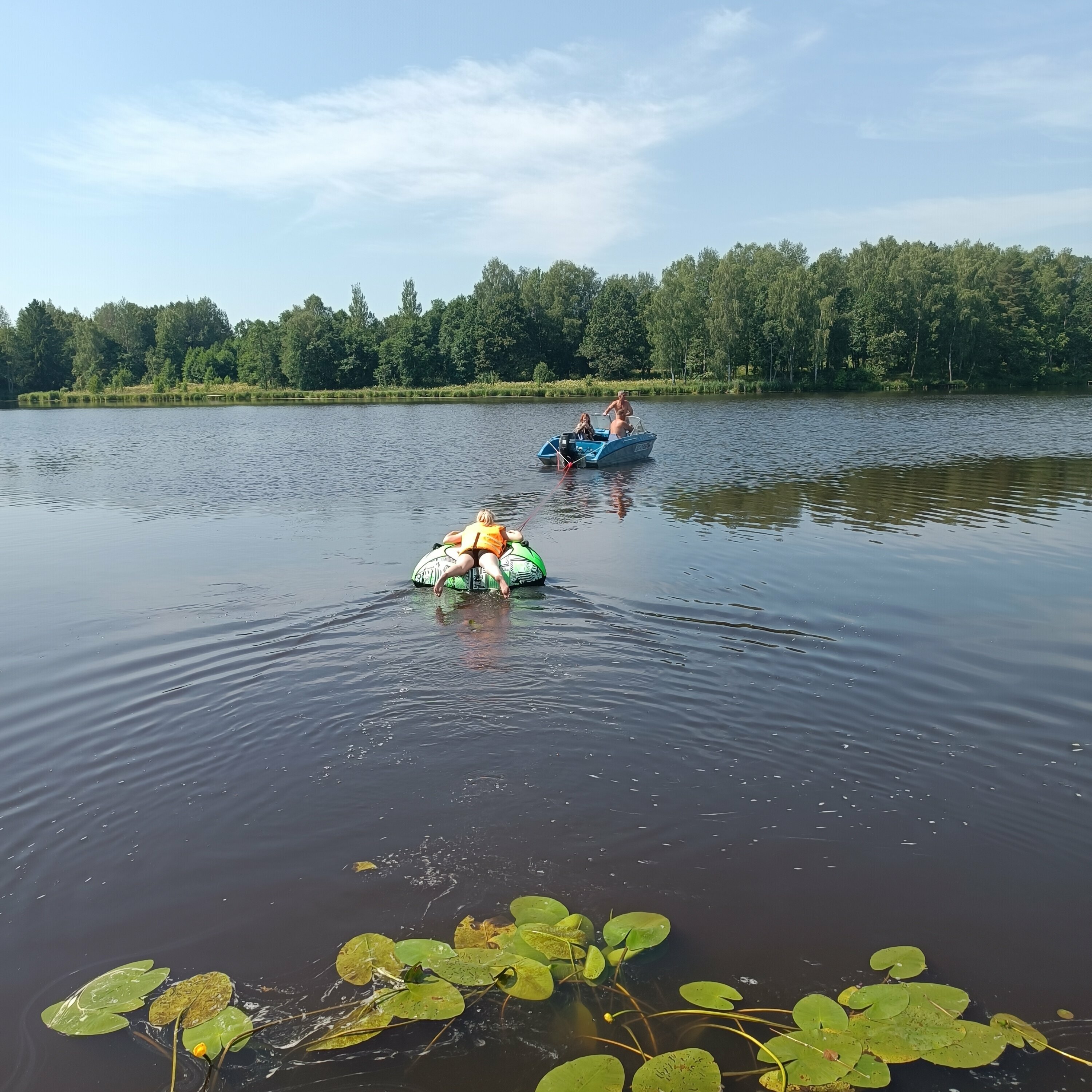 Дом с видом на лес