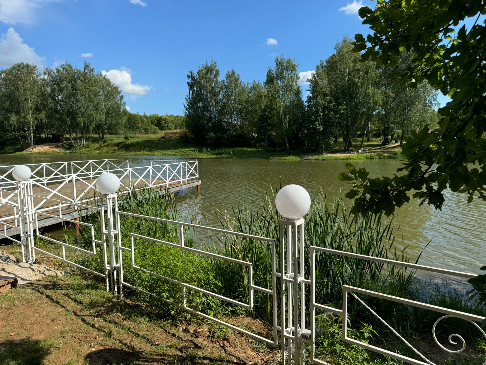 Дом с видом на лес