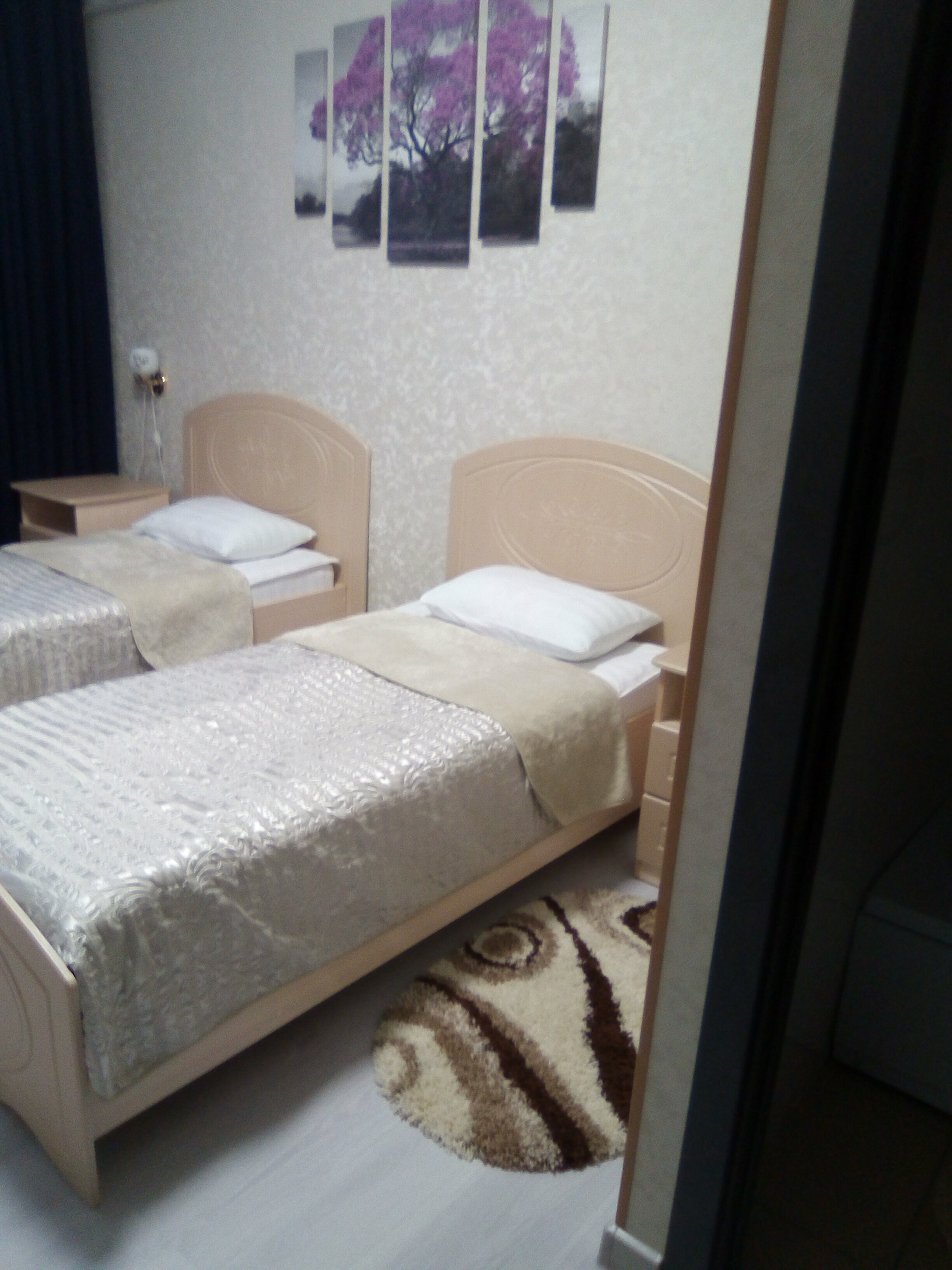 Двухместный номер с 2 отдельными кроватями