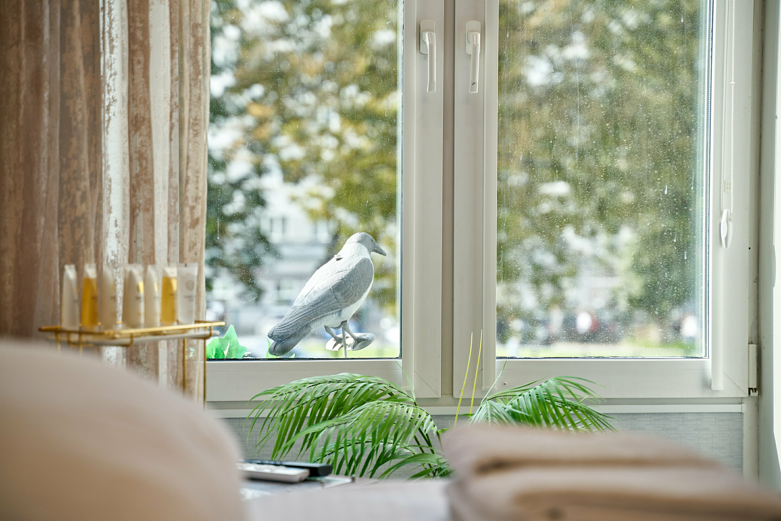 Номер с кроватью размера «king-size»