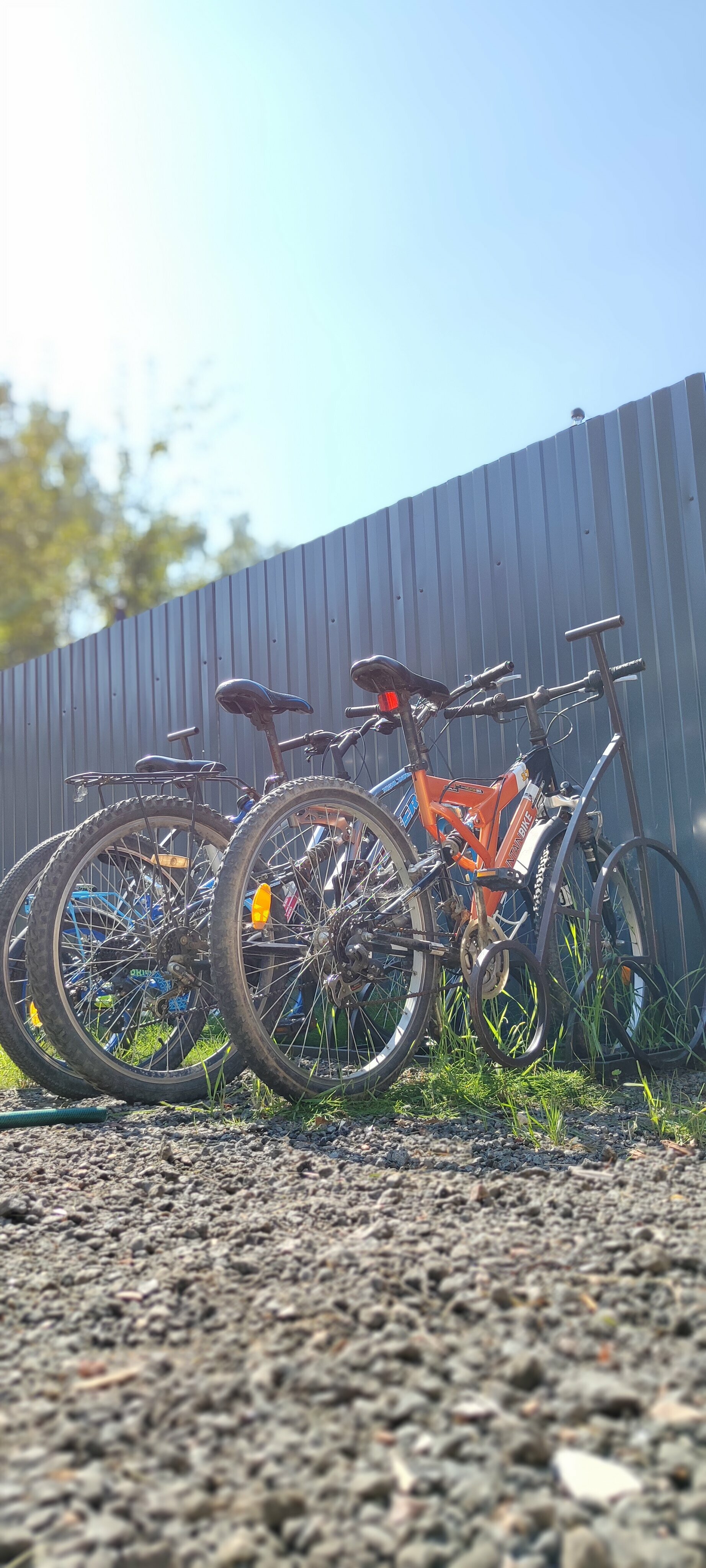 Дом с видом на лес