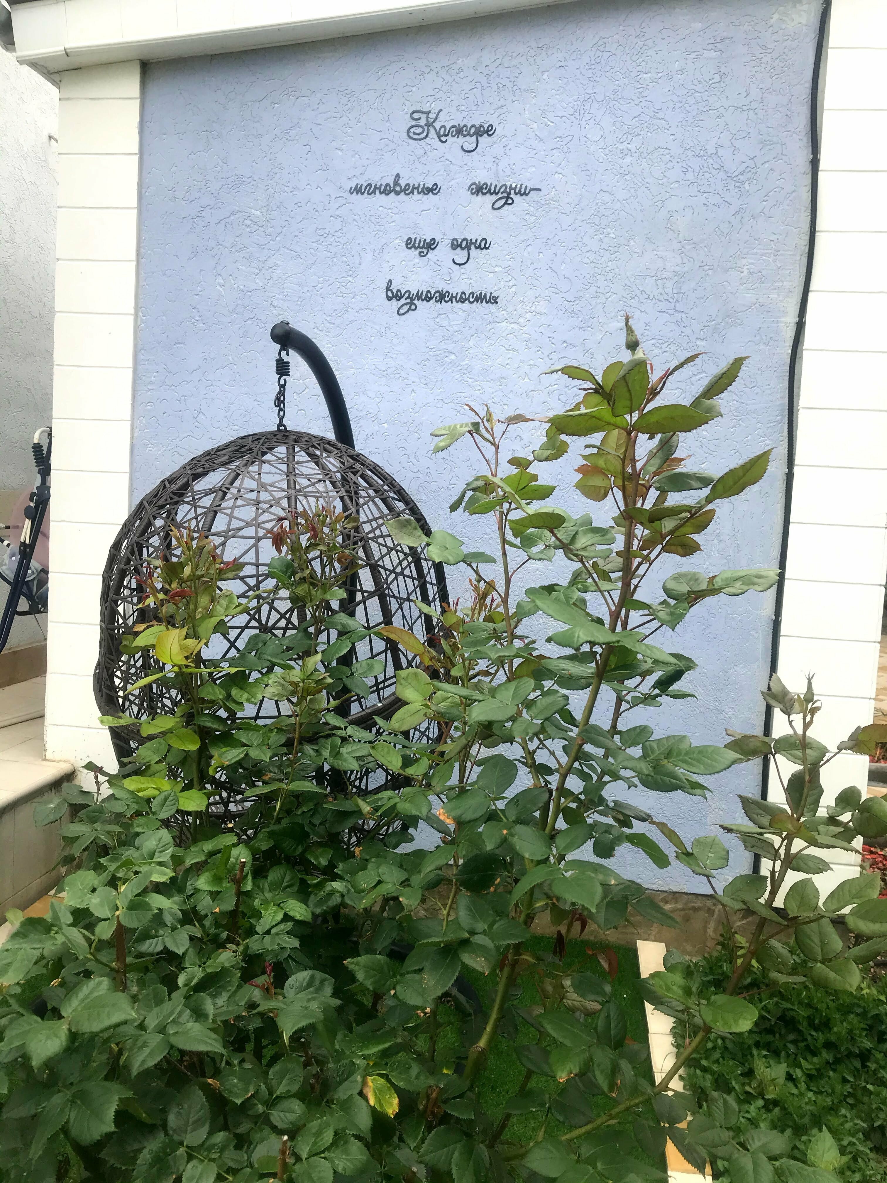 Двухместный номер с 1 кроватью