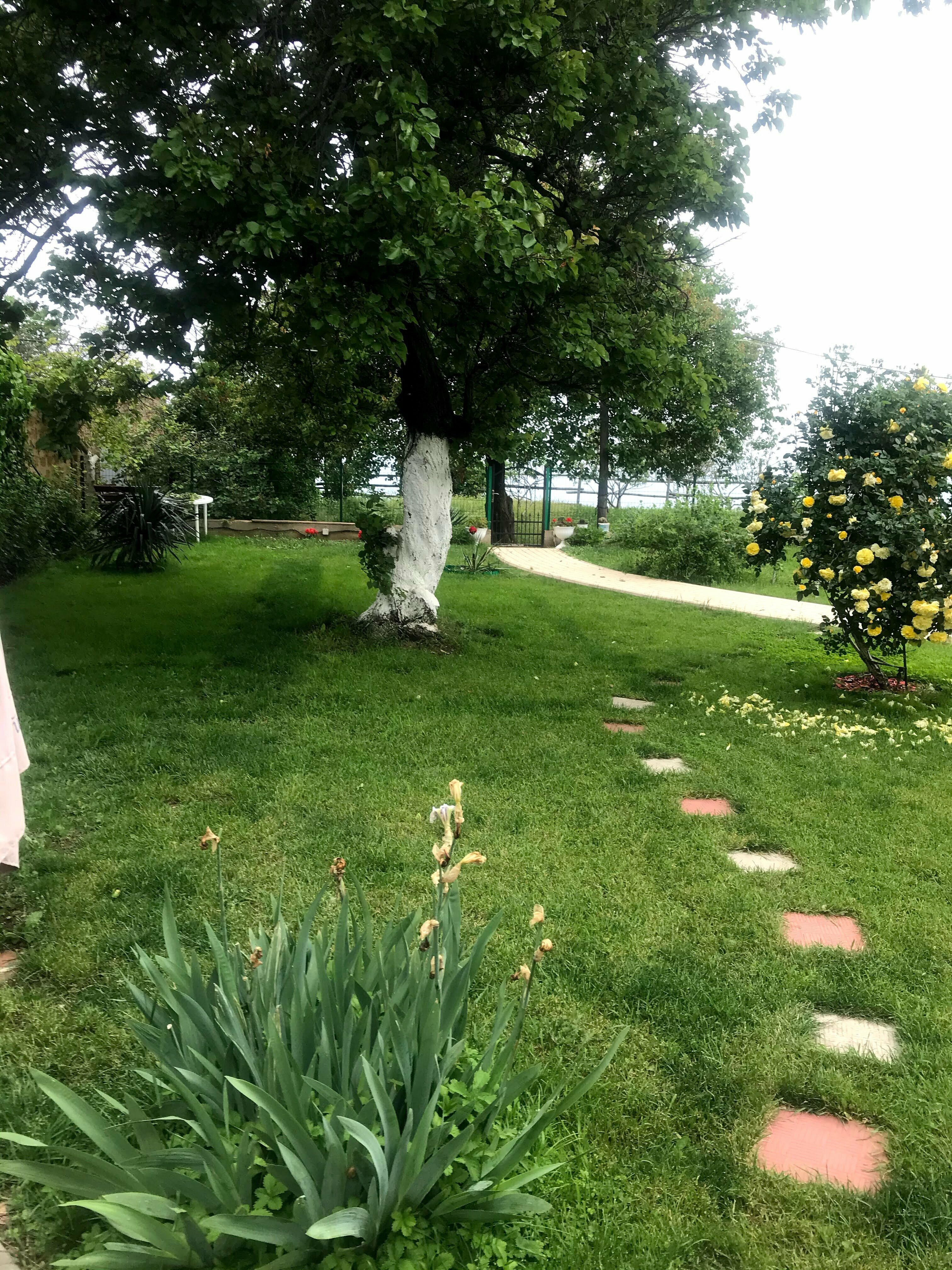 Двухместный номер с 1 кроватью