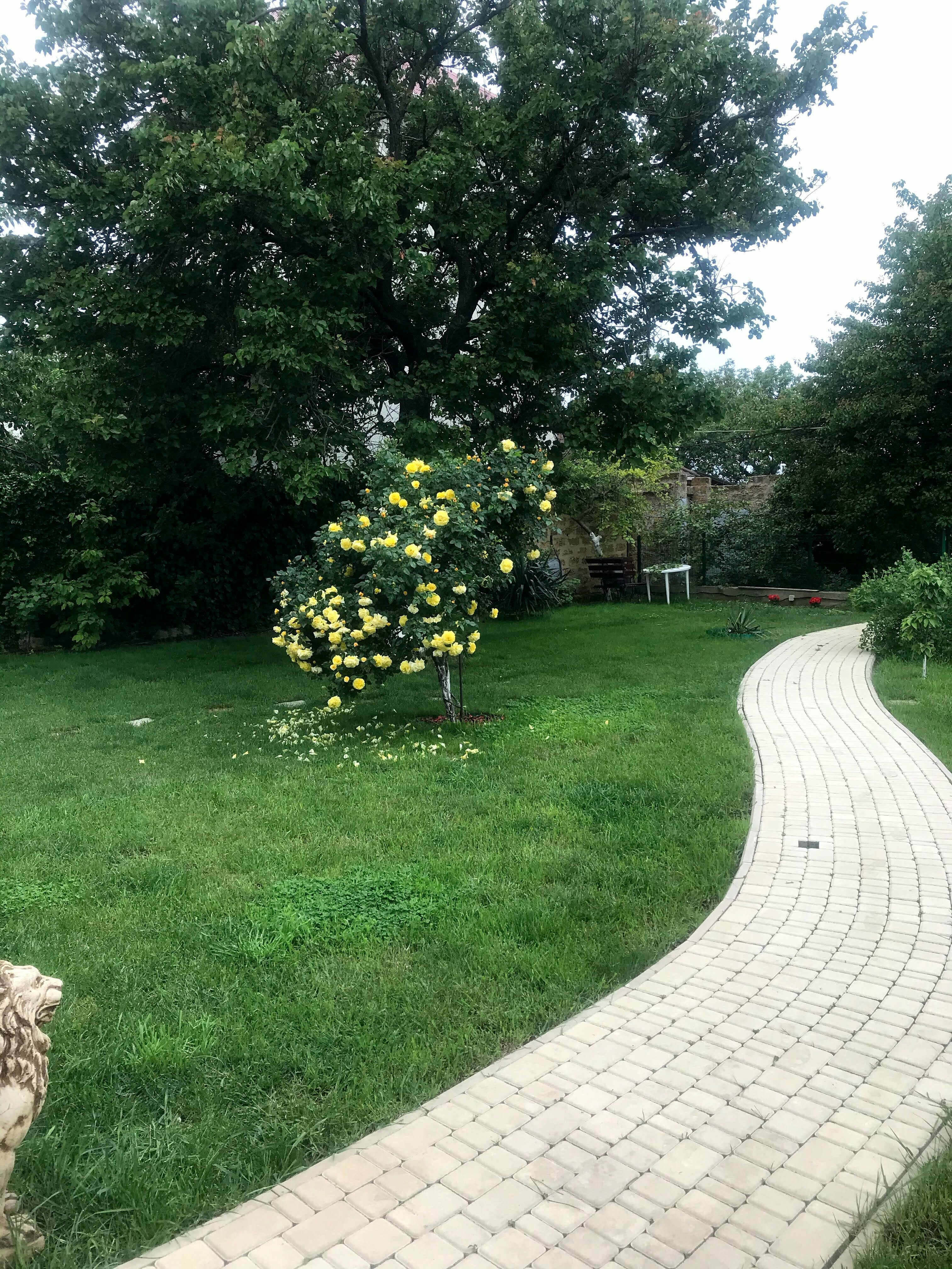 Двухместный номер с 1 кроватью