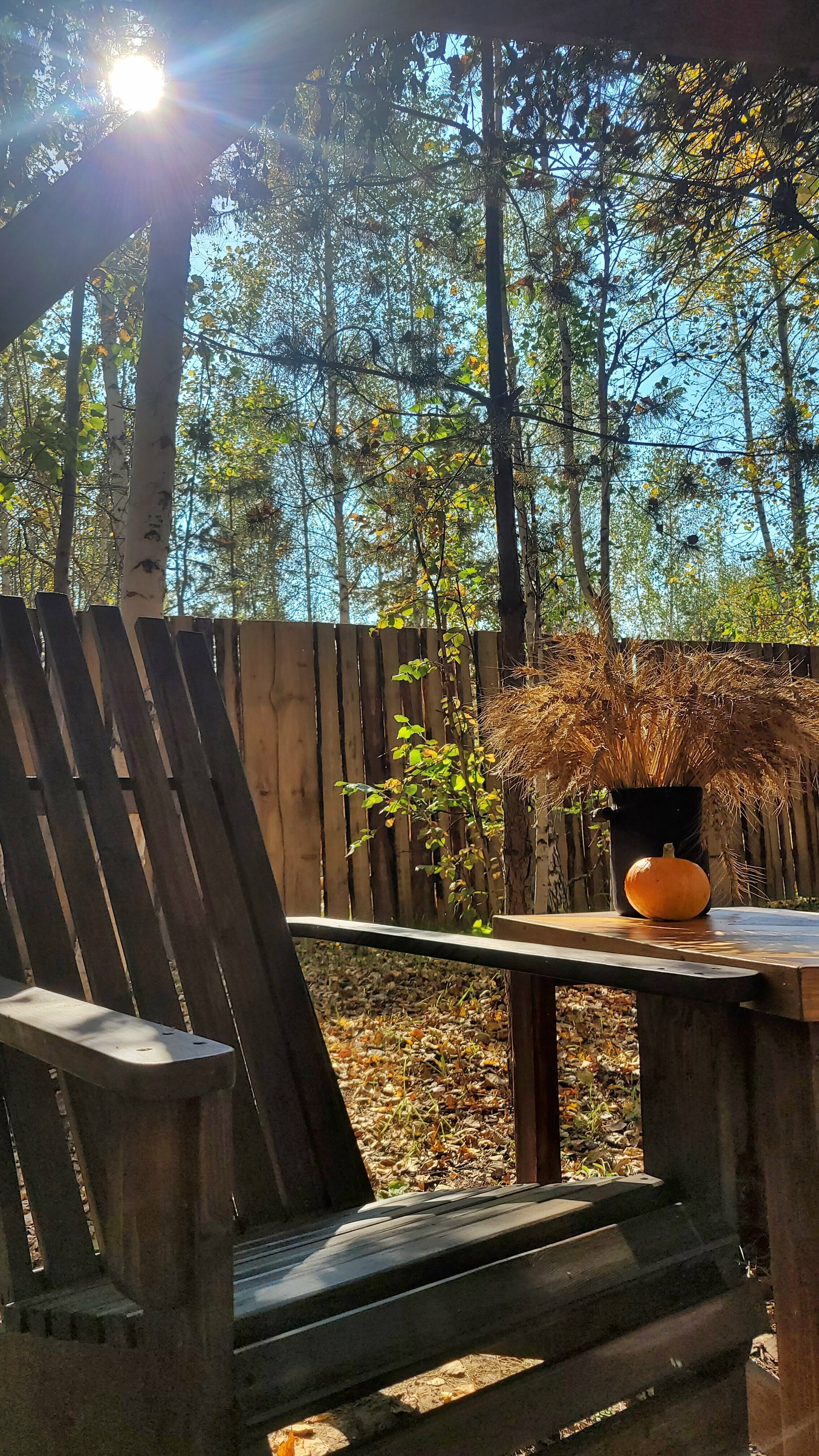 Номер-студия с видом на сад