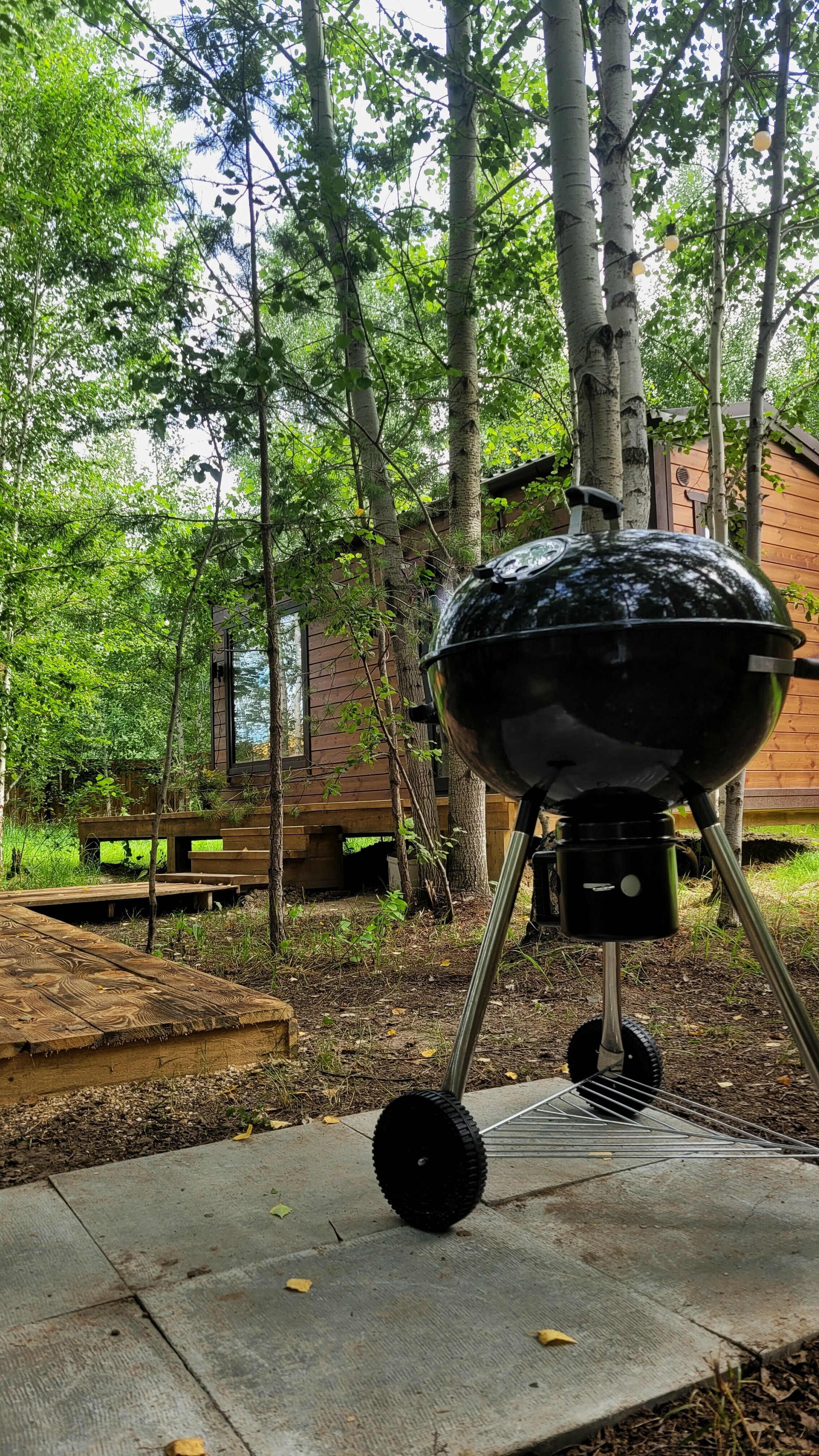 Номер-студия с видом на сад
