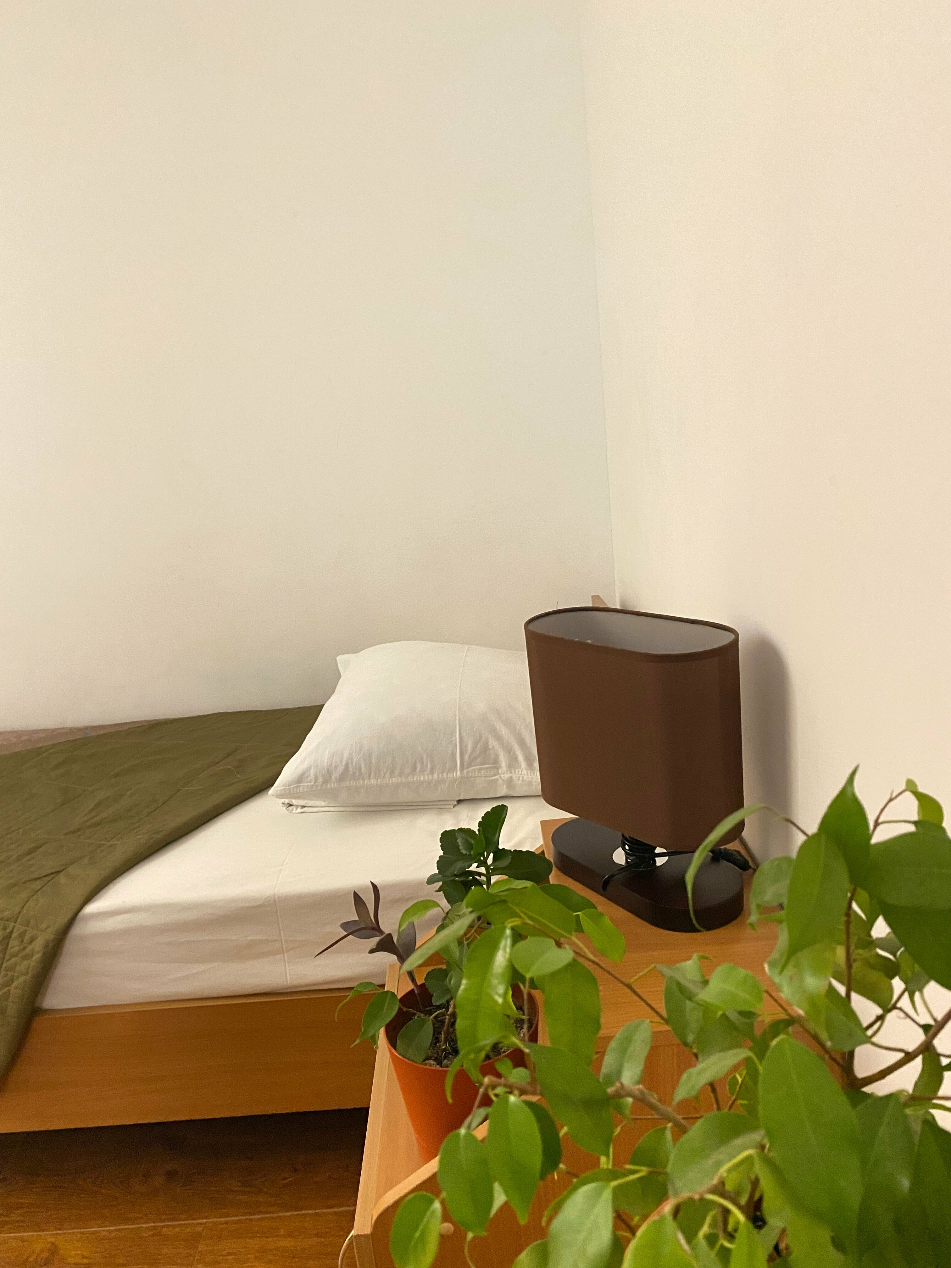 Бюджетный двухместный номер с 2 отдельными кроватями