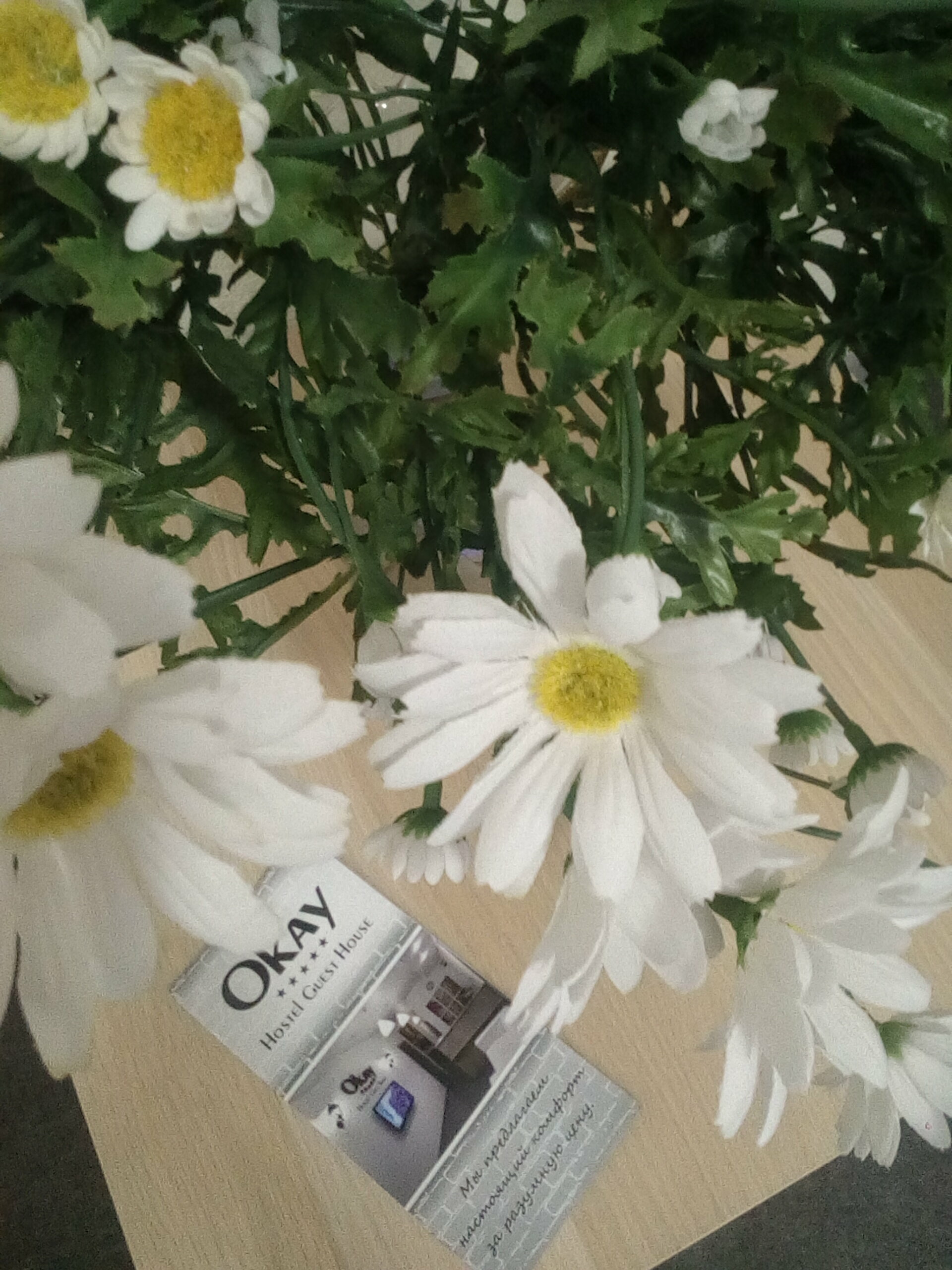 Спальное место на двухъярусной кровати в общем номере для женщин