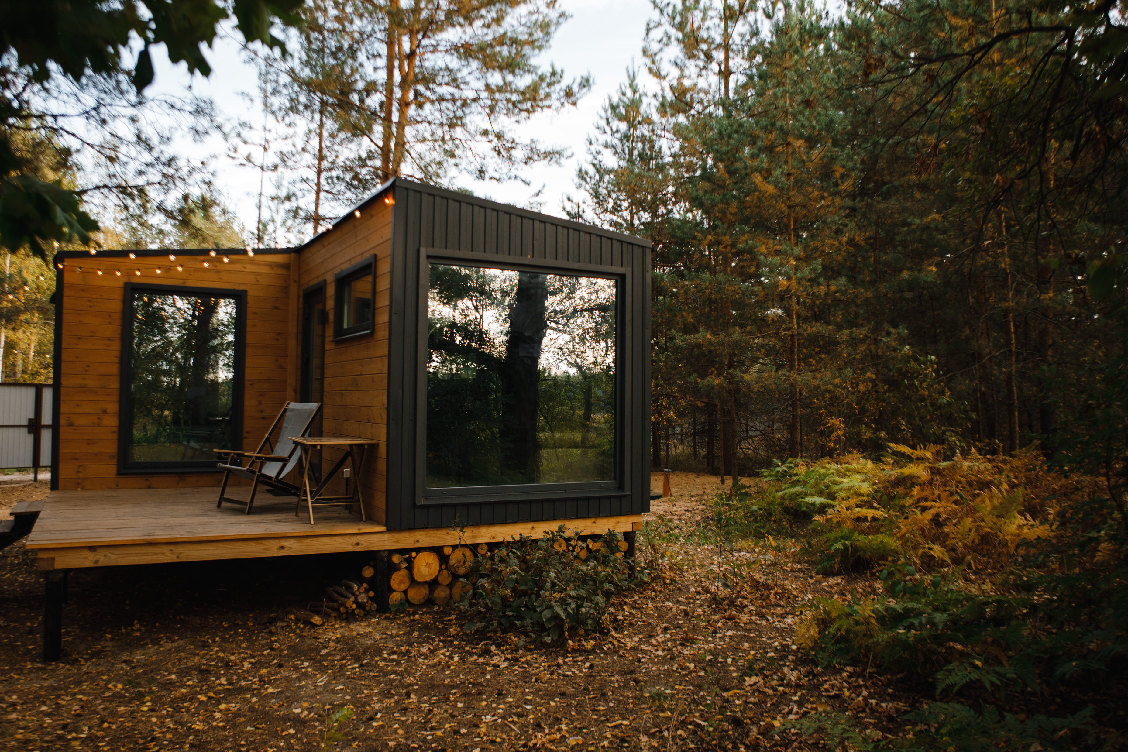 Дом с видом на лес