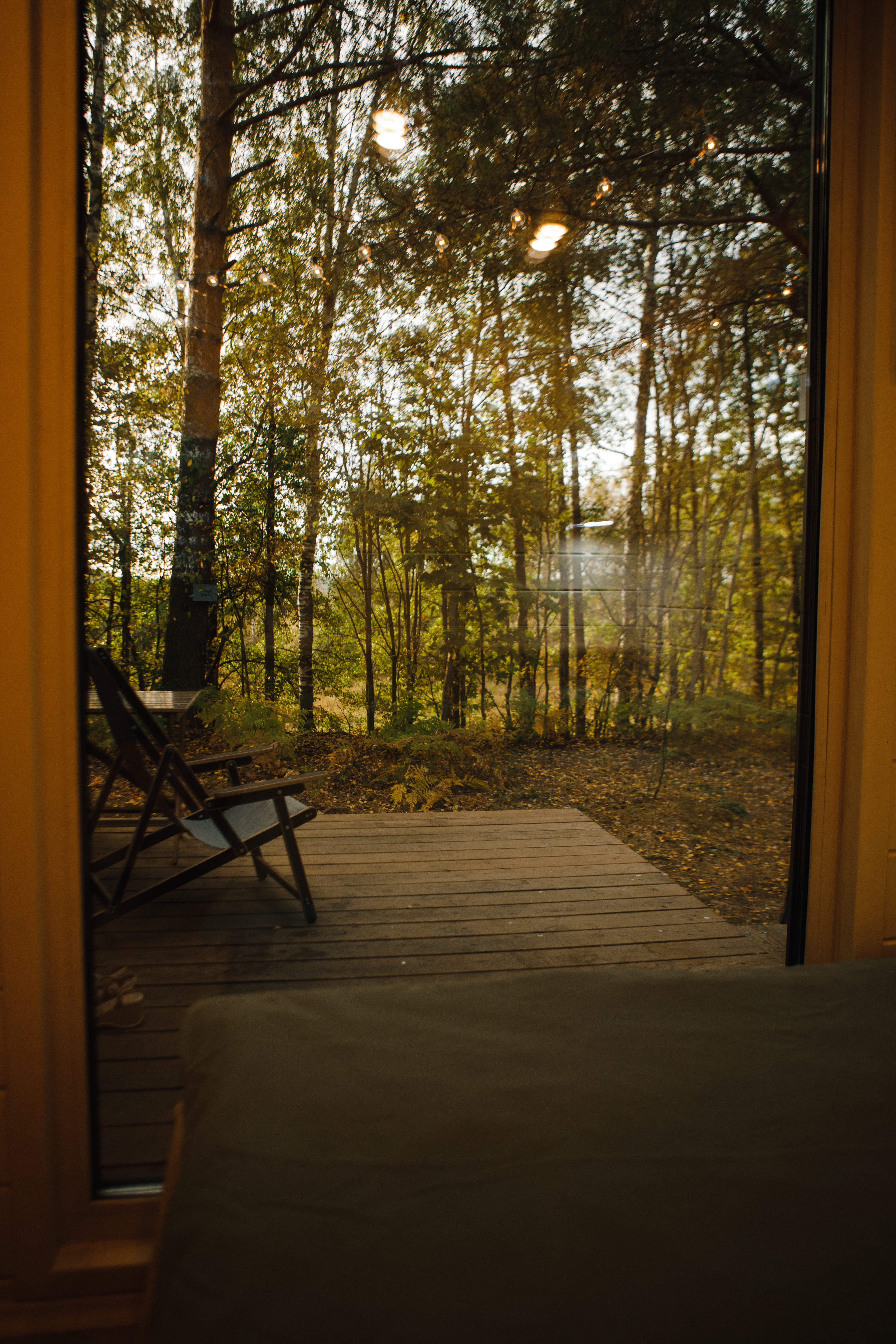 Дом с видом на лес