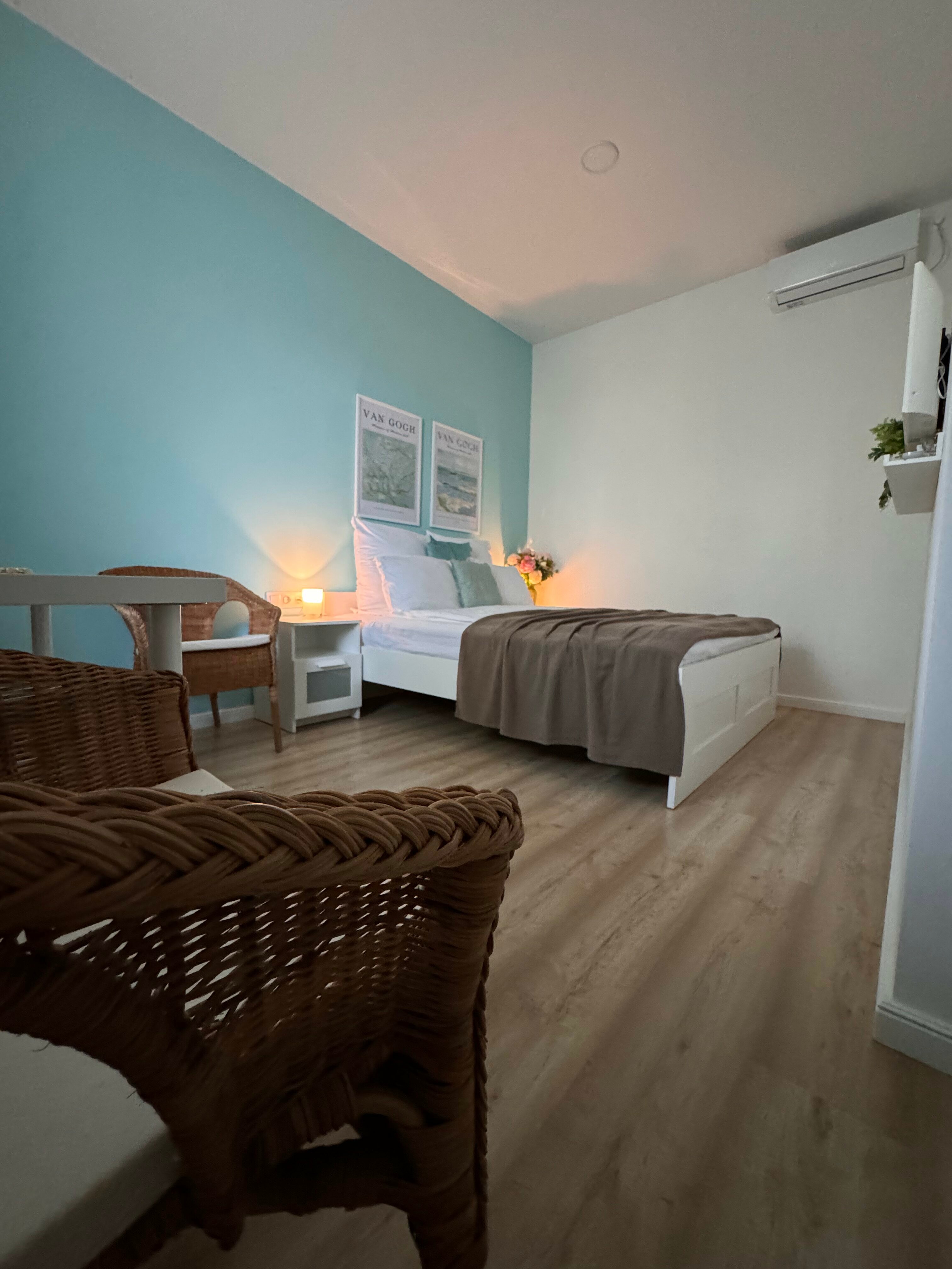 Двухместный номер с 1 кроватью и видом на парк