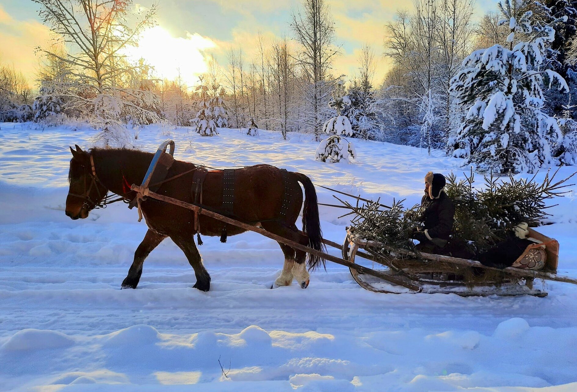 Cемейный номер с собственной ванной комнатой