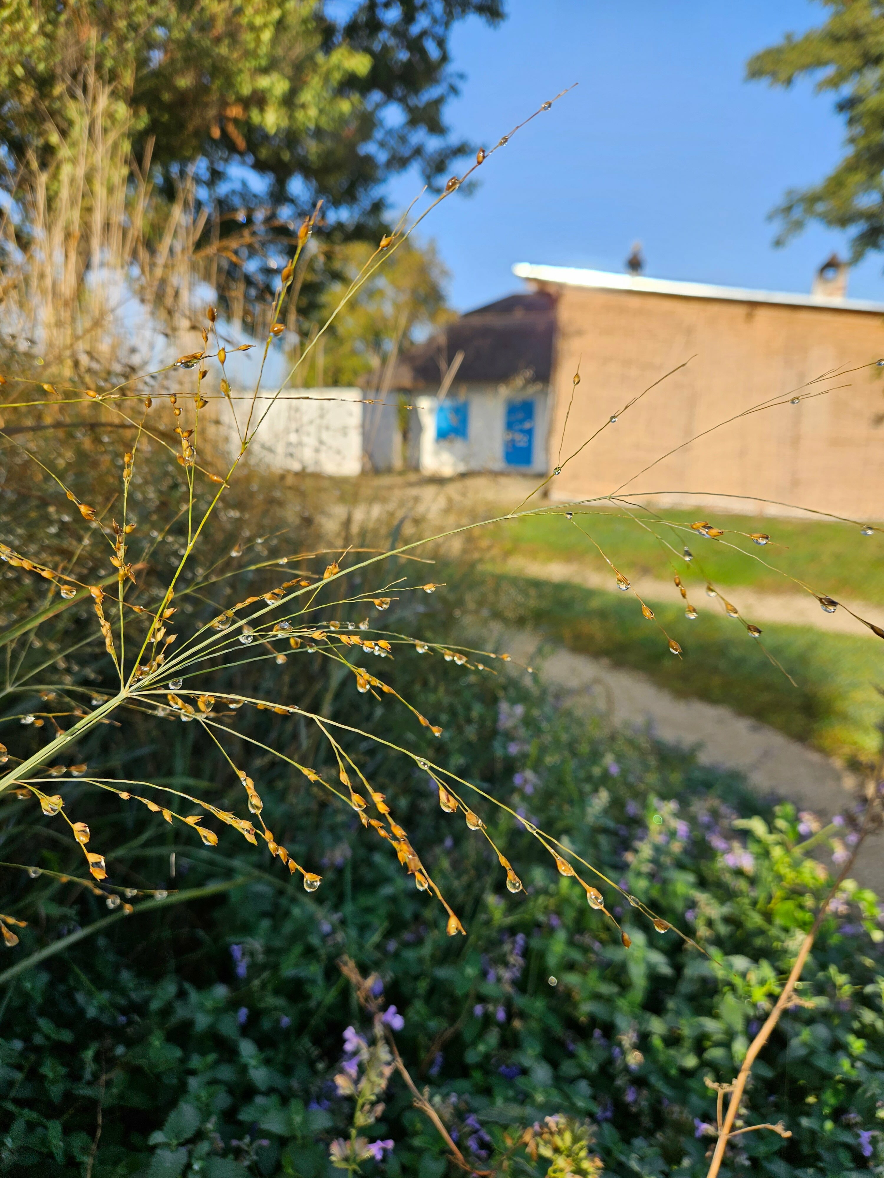 Четырехместный номер