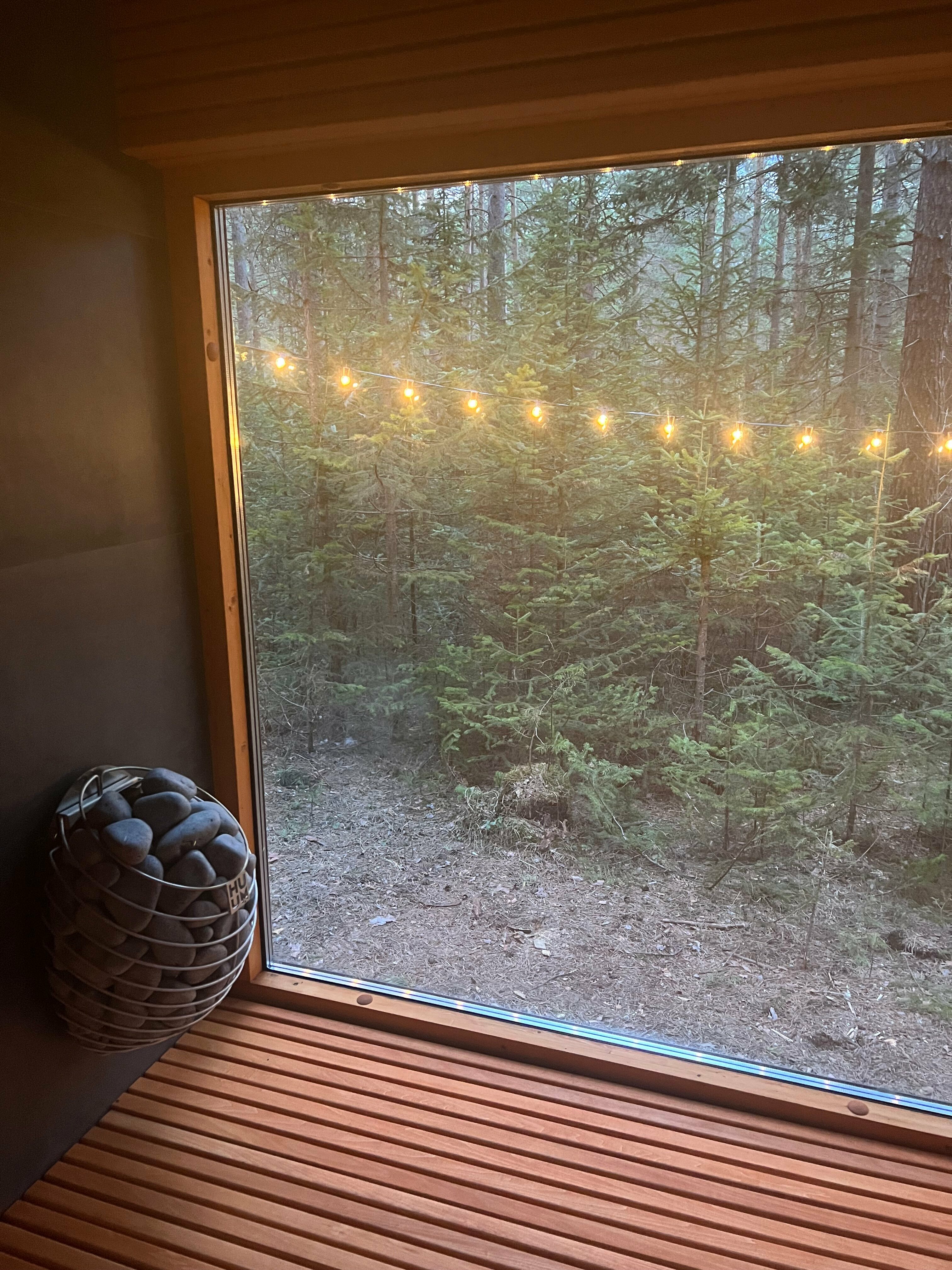 Четырехместный номер с видом на сад