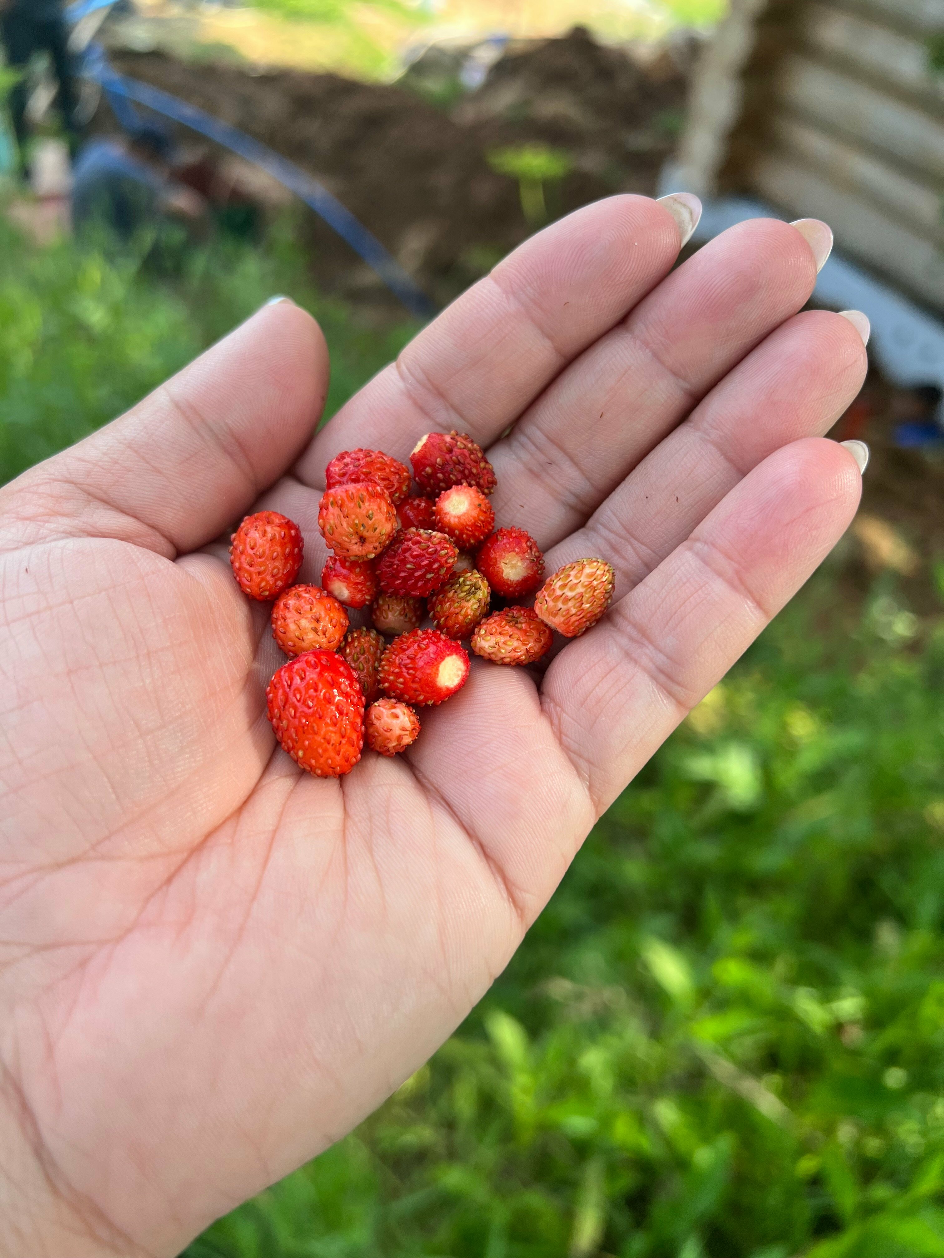 Коттедж – Рядом с пляжем