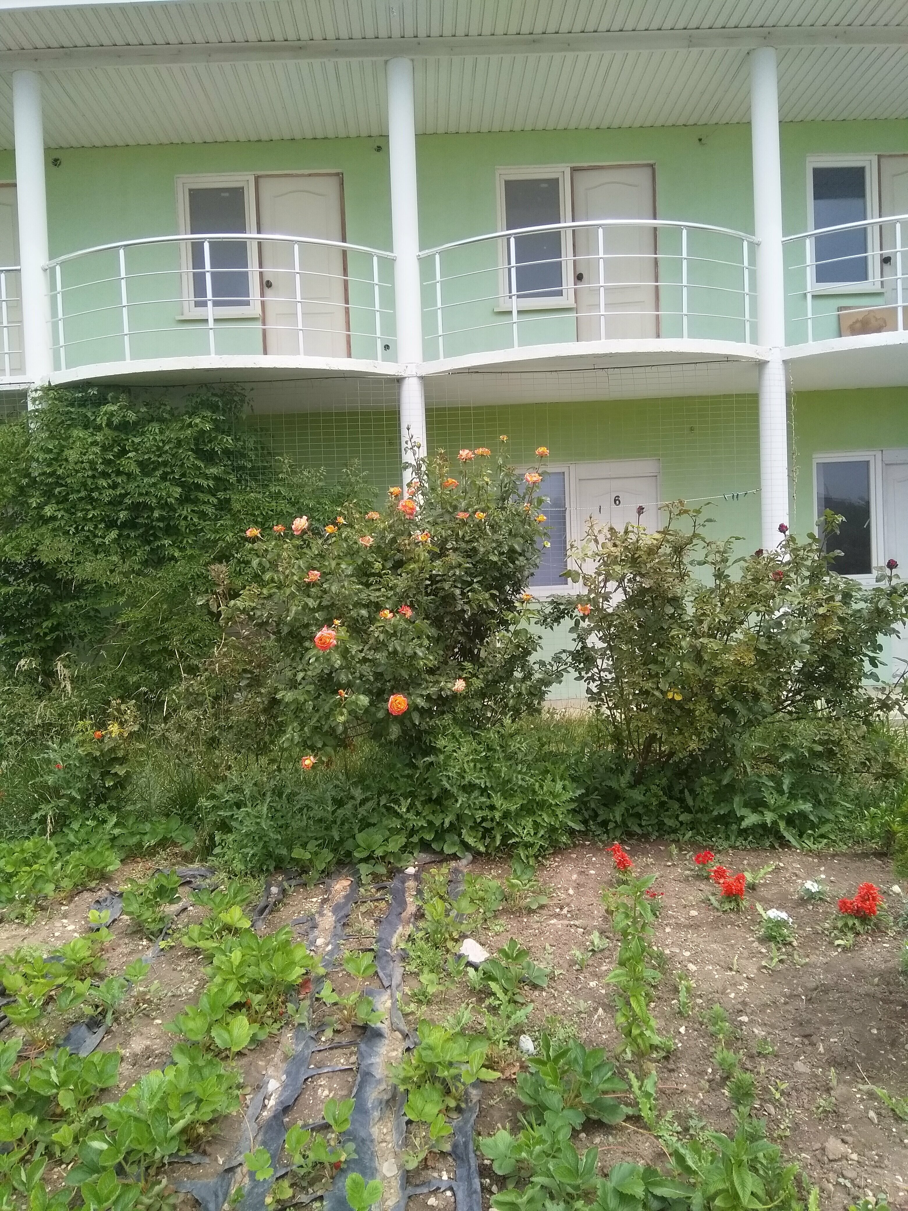 Стандартный семейный номер