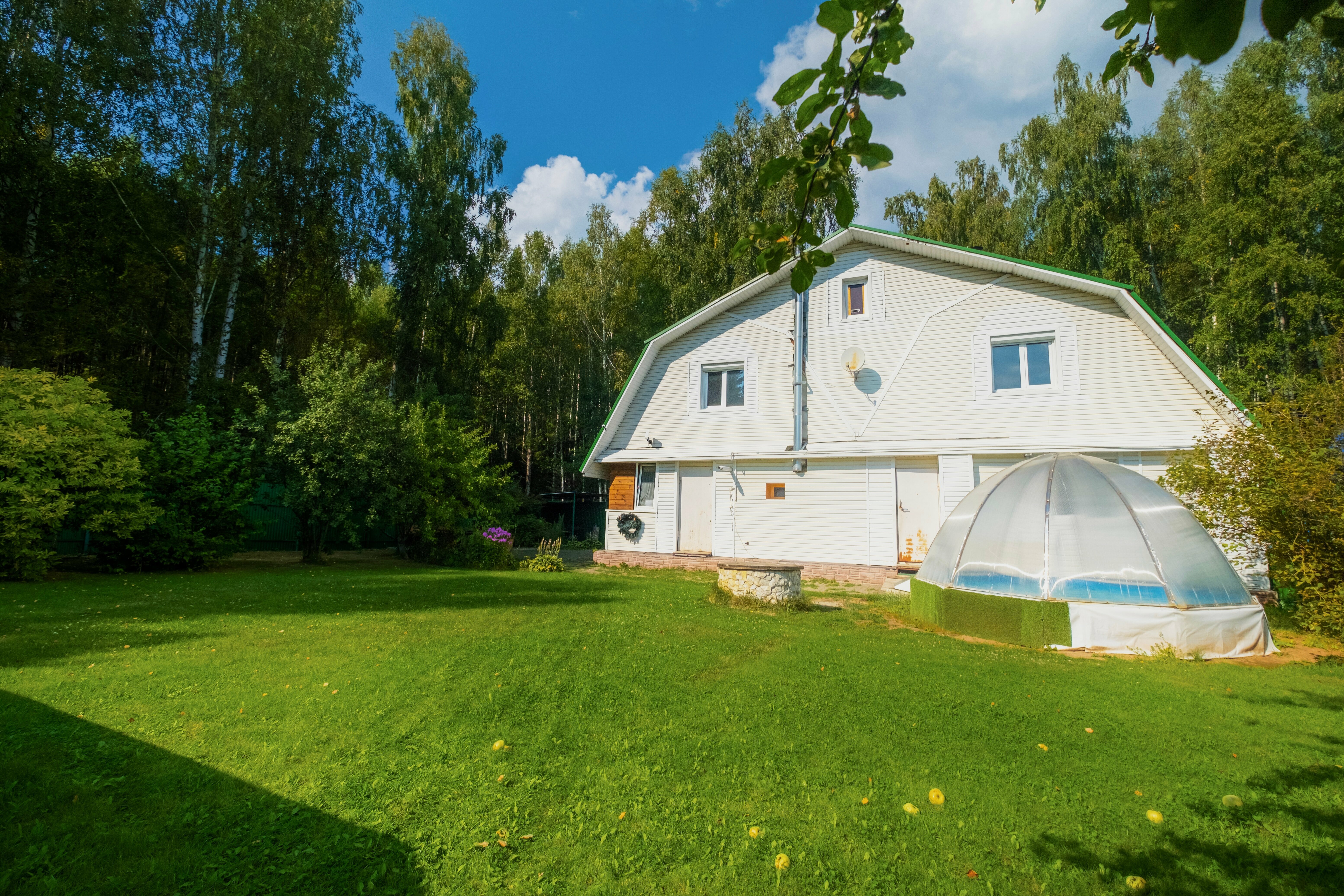 Коттедж с видом на лес