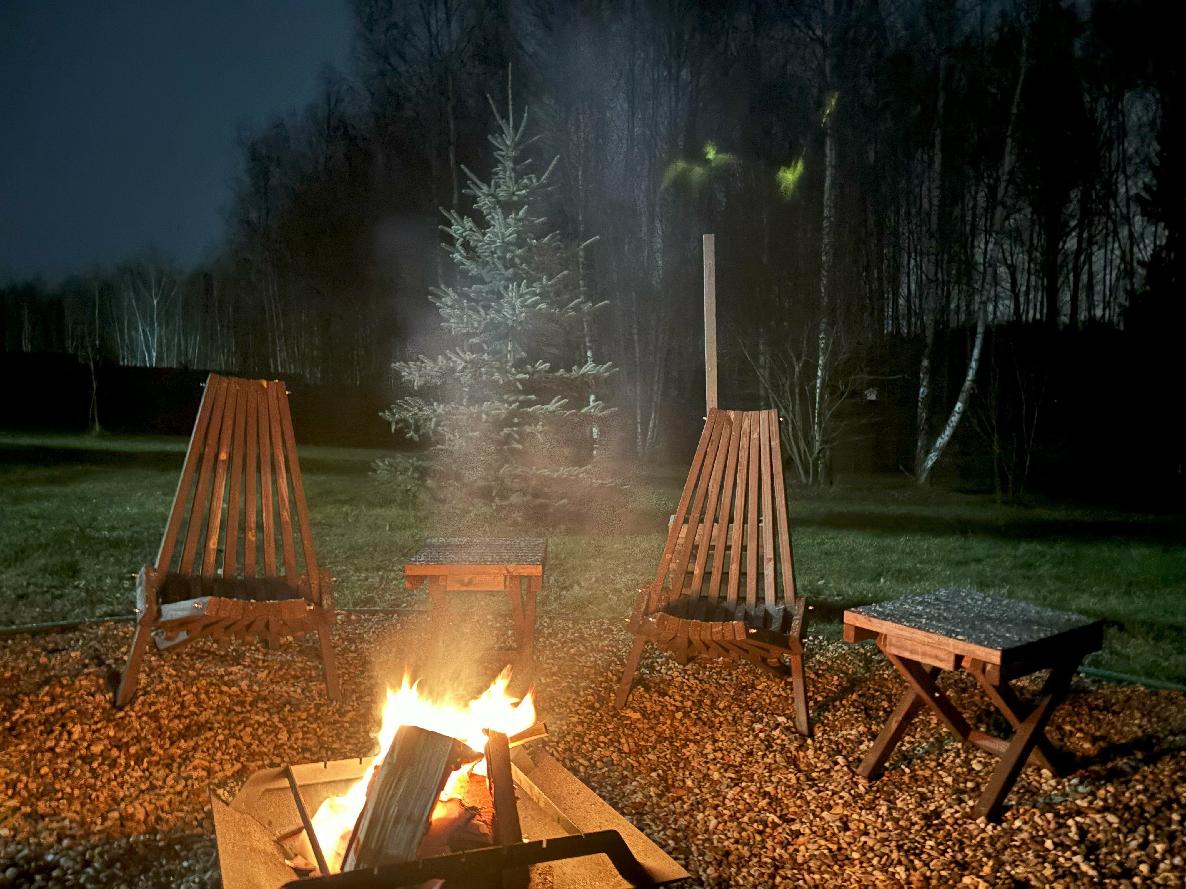 Дом с видом на лес