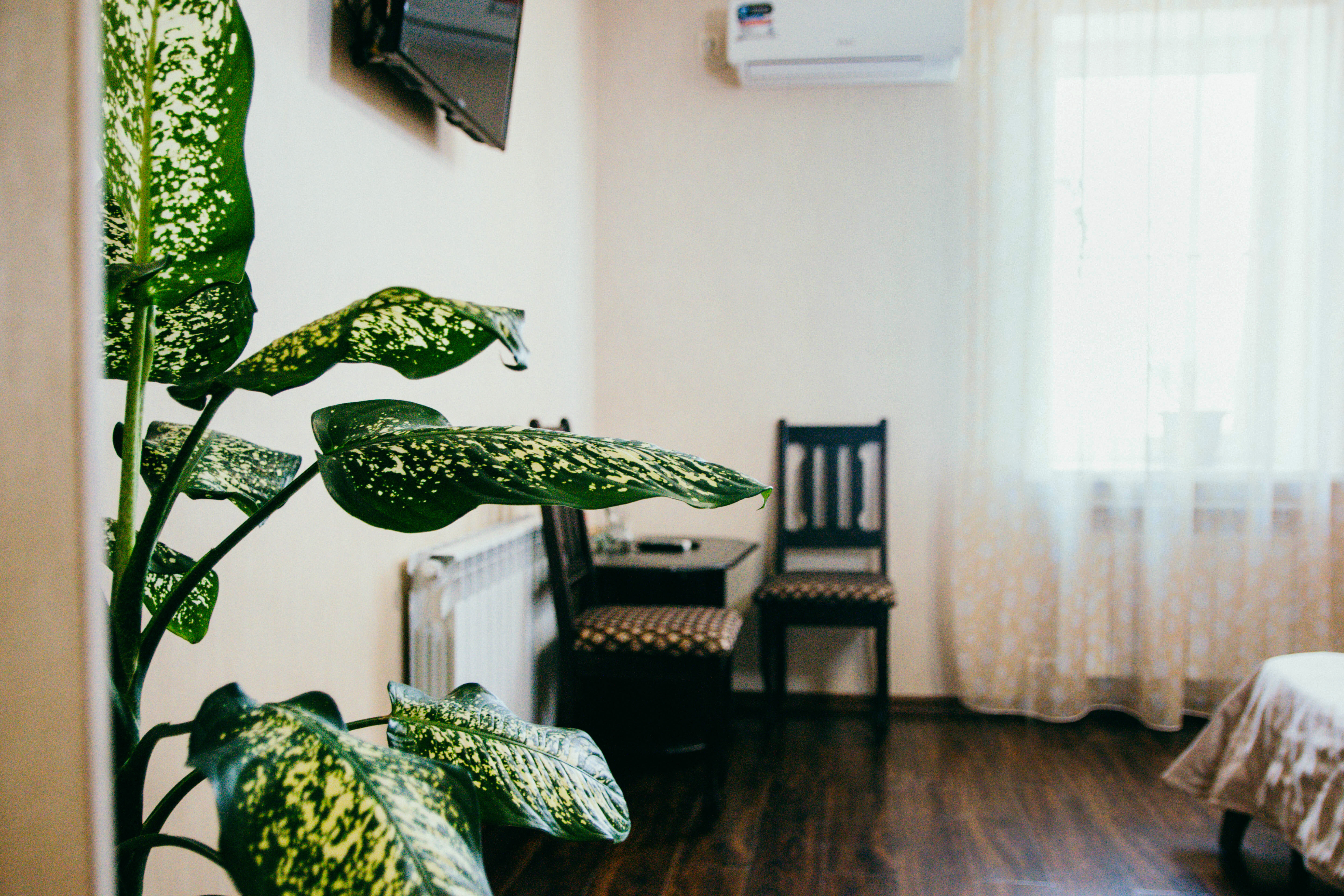 Большой двухместный номер с 1 кроватью