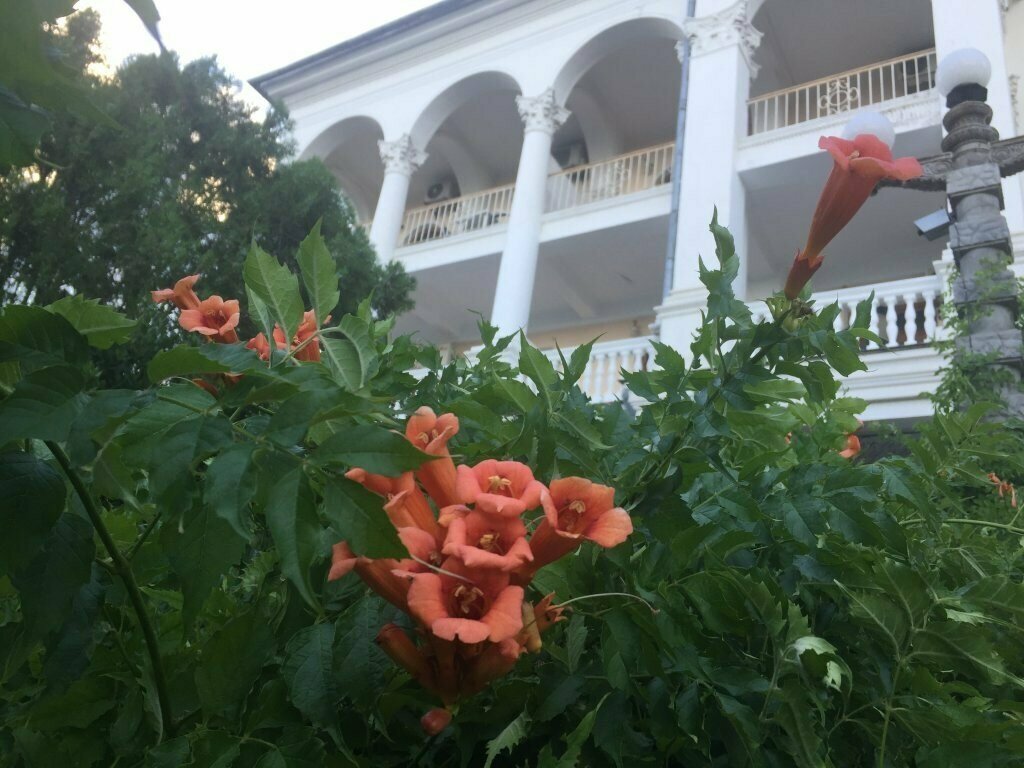 Эконом с балконом