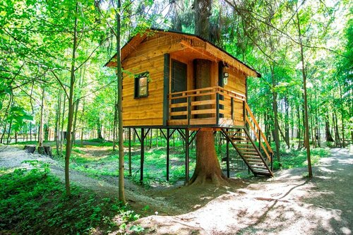 Дом Карлсона на дереве