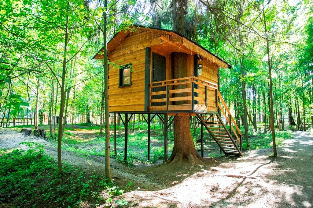 Дом Карлсона на дереве