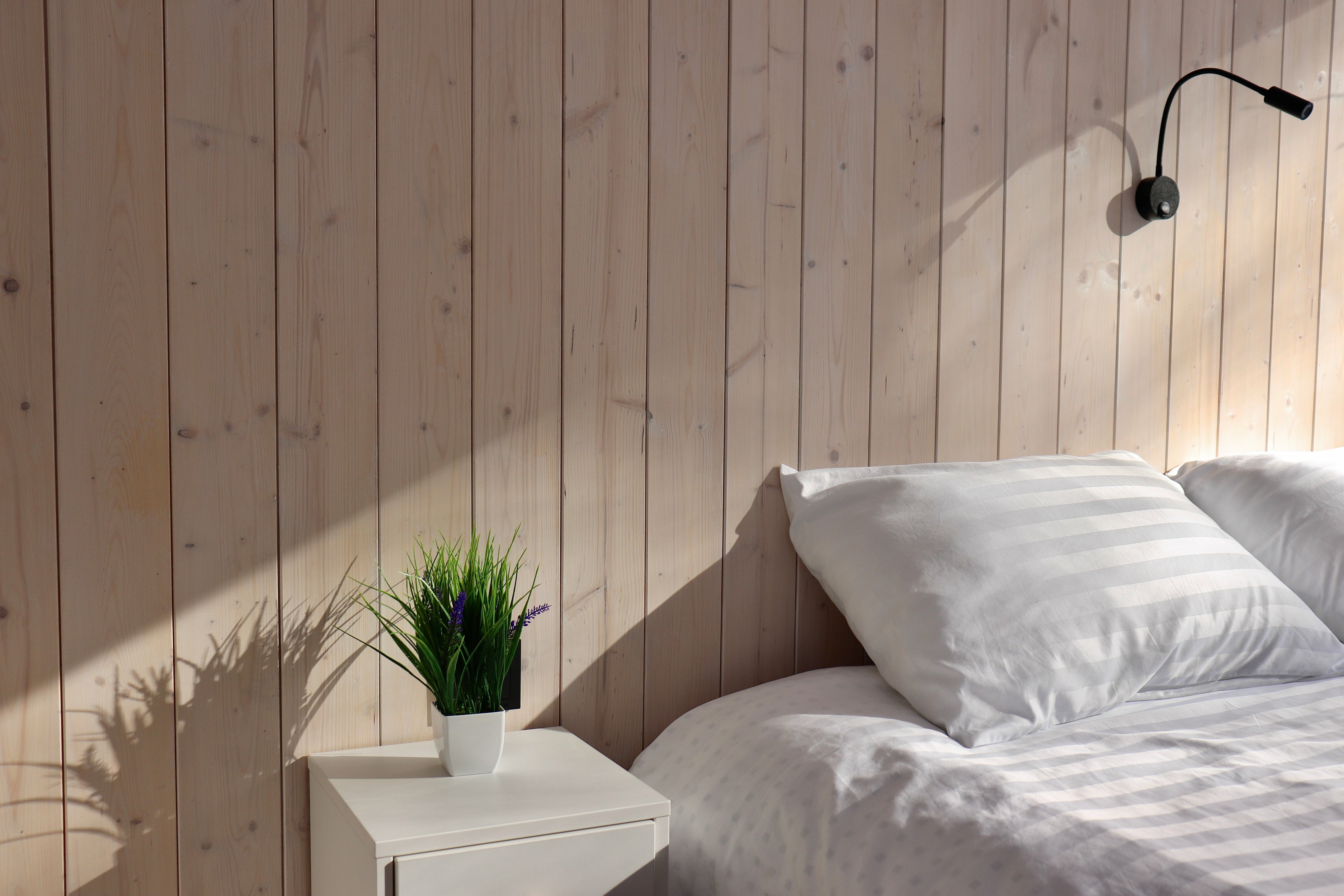 Дом с видом на лес