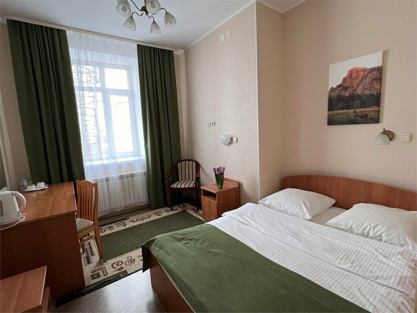 Стандартный двухместный номер с 1 кроватью