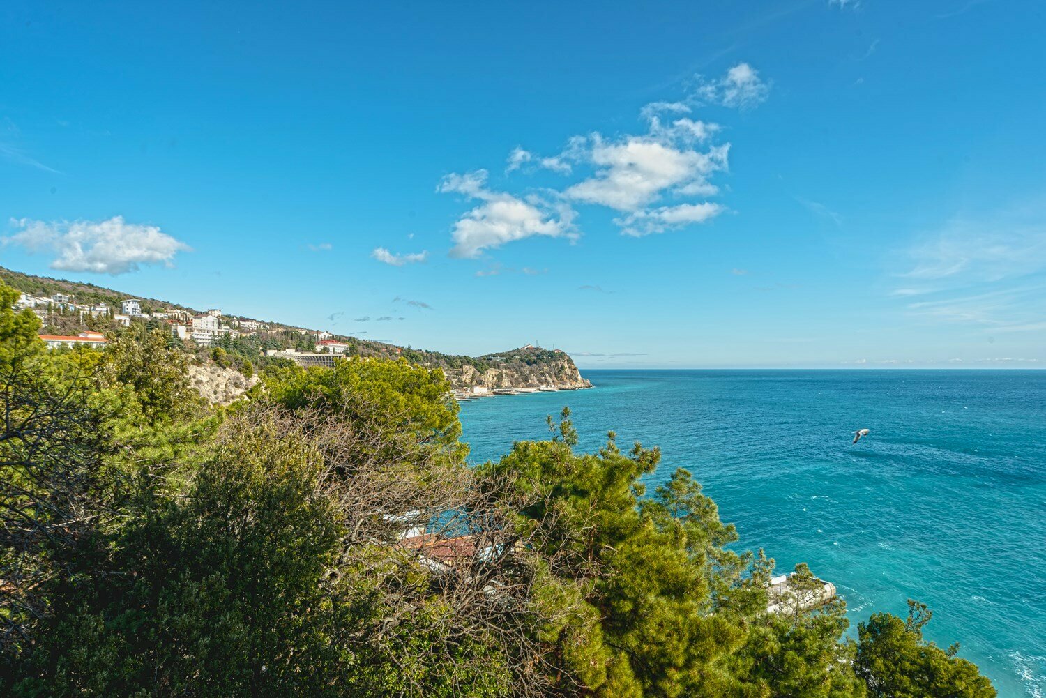 Эконом-Стандарт с двухспальной кроватью Double economy