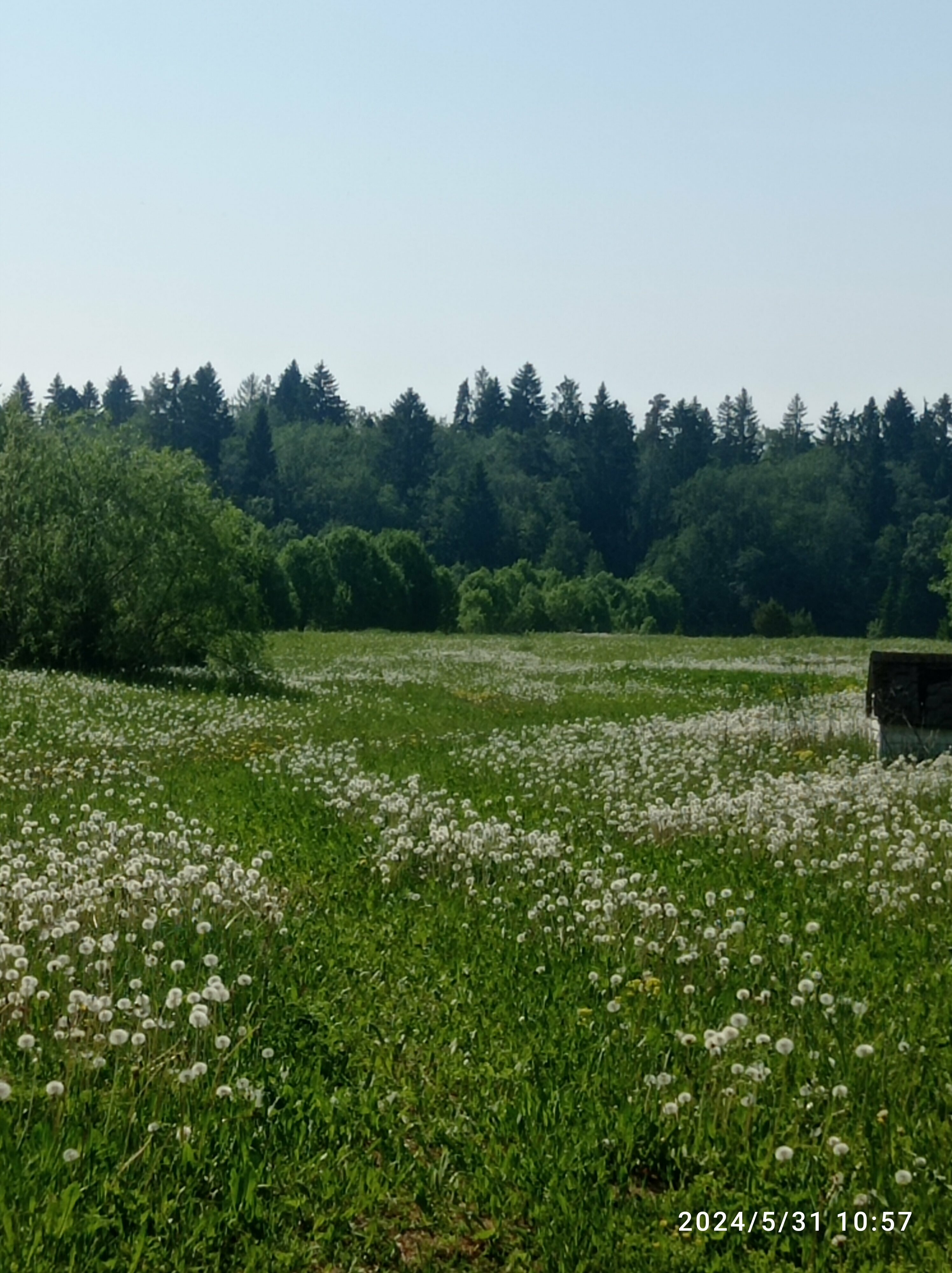 Таунхаус с отдельным входом