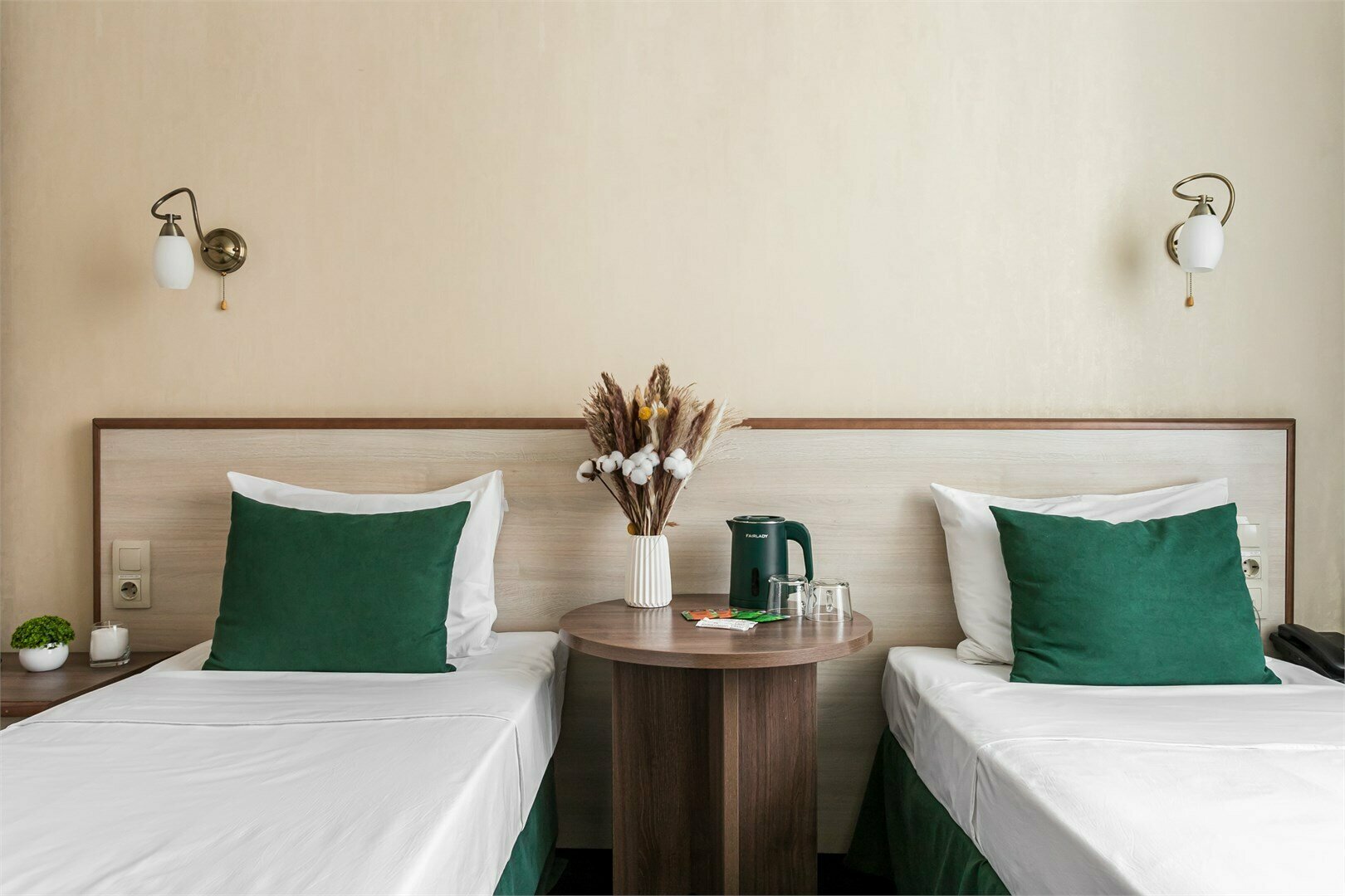 Двухместный номер с 2 отдельными кроватями, вид на горы