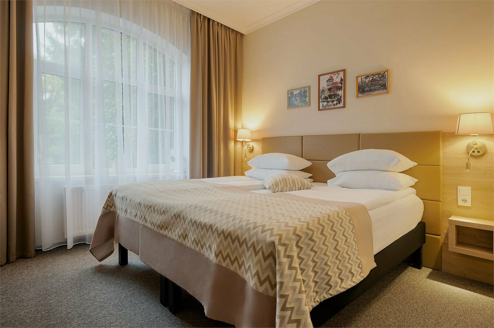 Двухместный номер с 1 кроватью или 2 отдельными кроватями