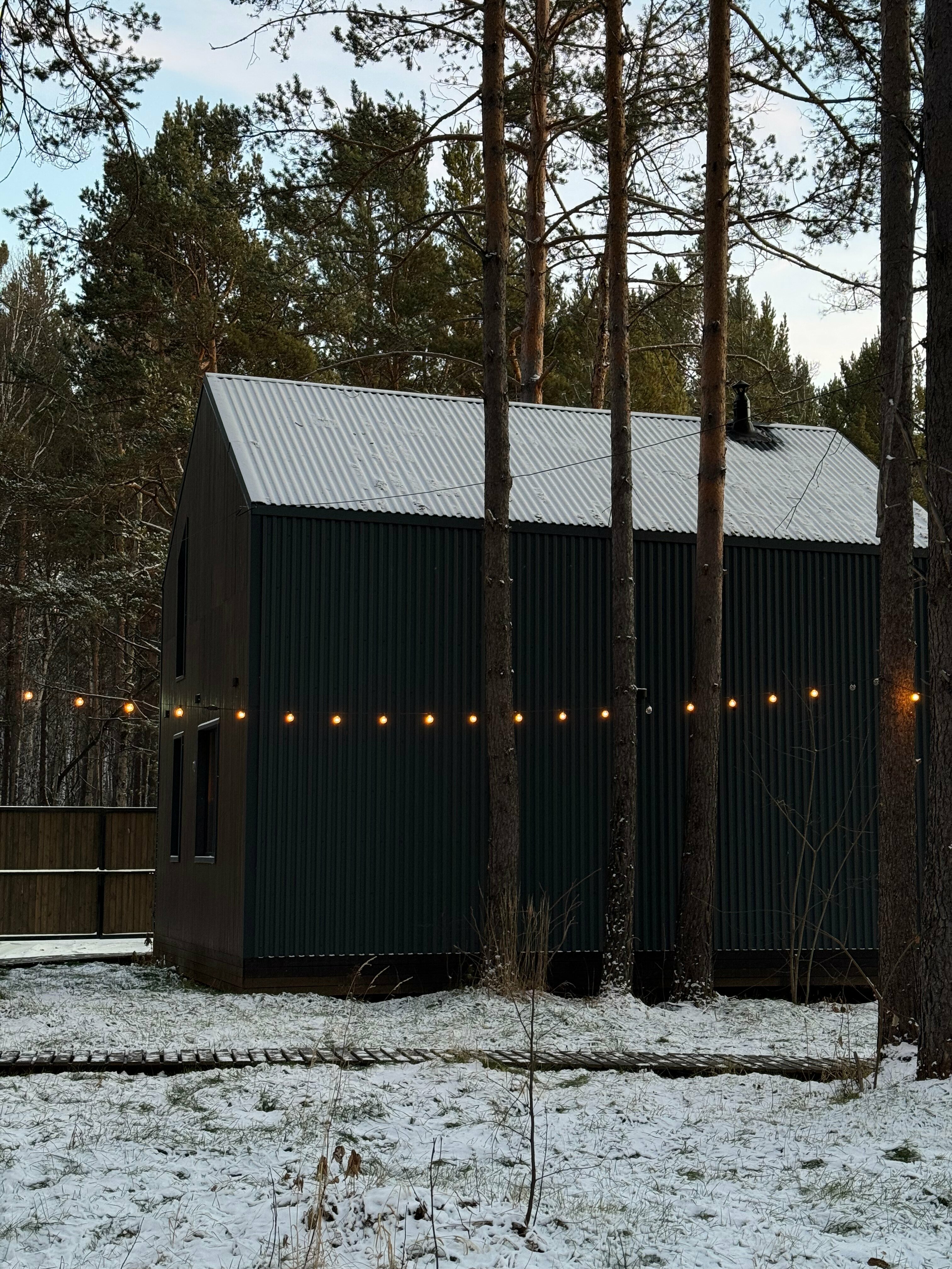 Дом с видом на лес