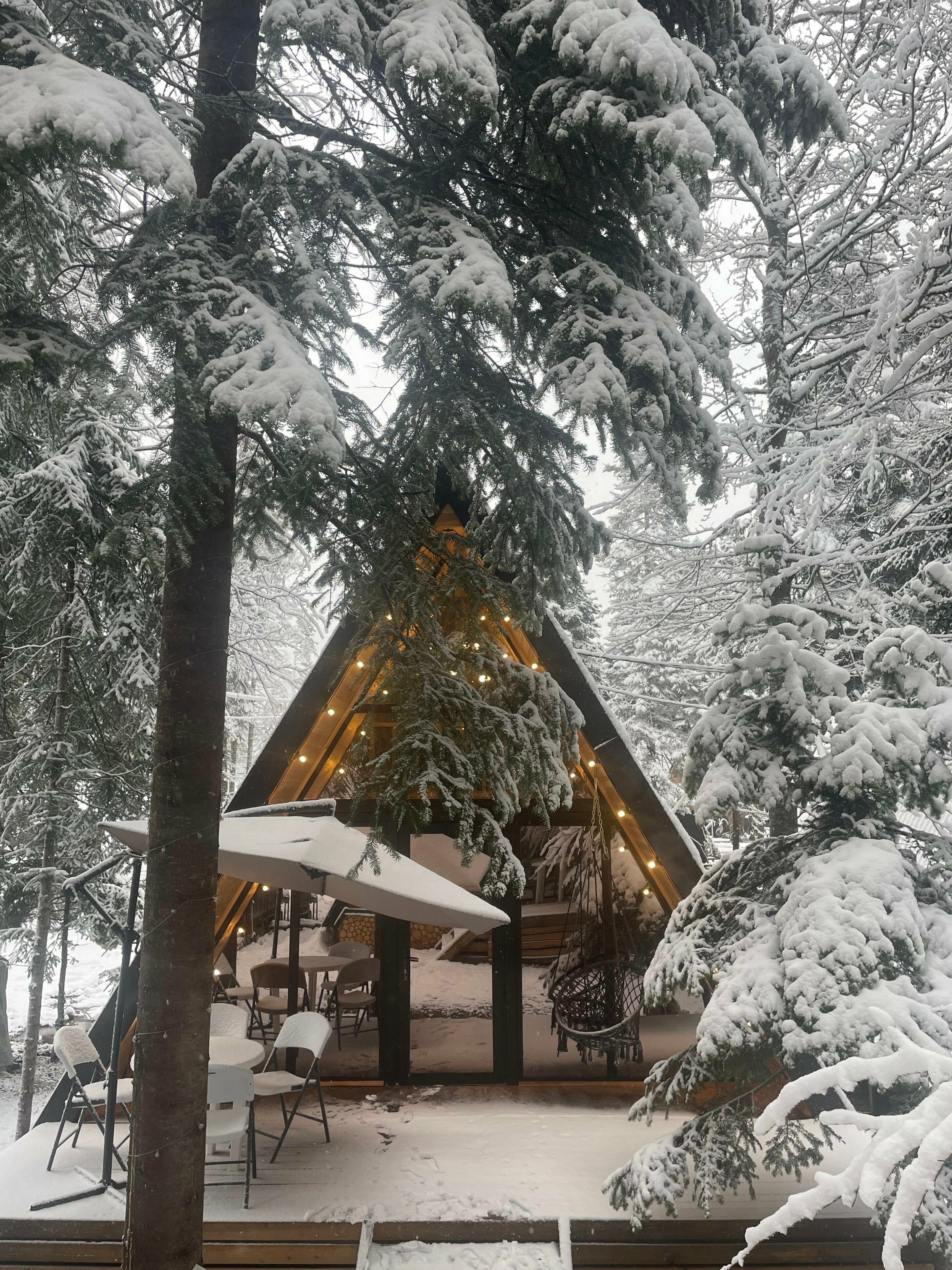 Двухуровневый четырехместный номер