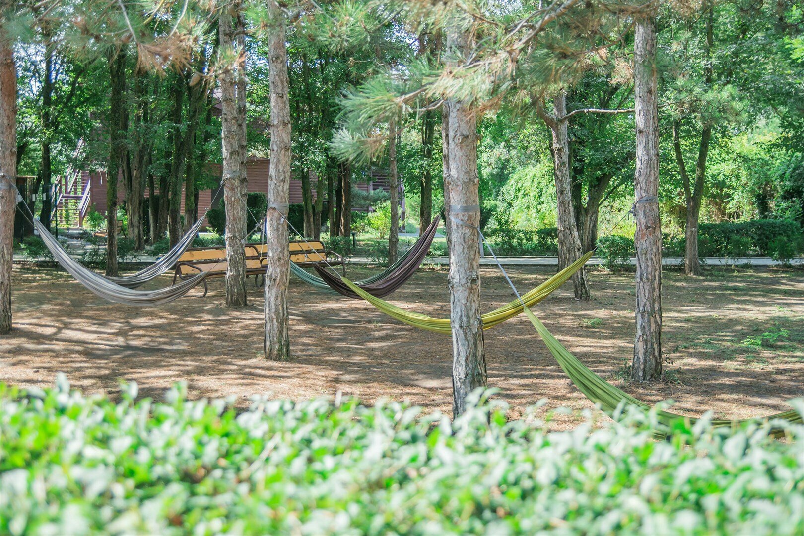 «Усадьба Попова» 1-комн. 2-х местный "стандарт" 1-я категория