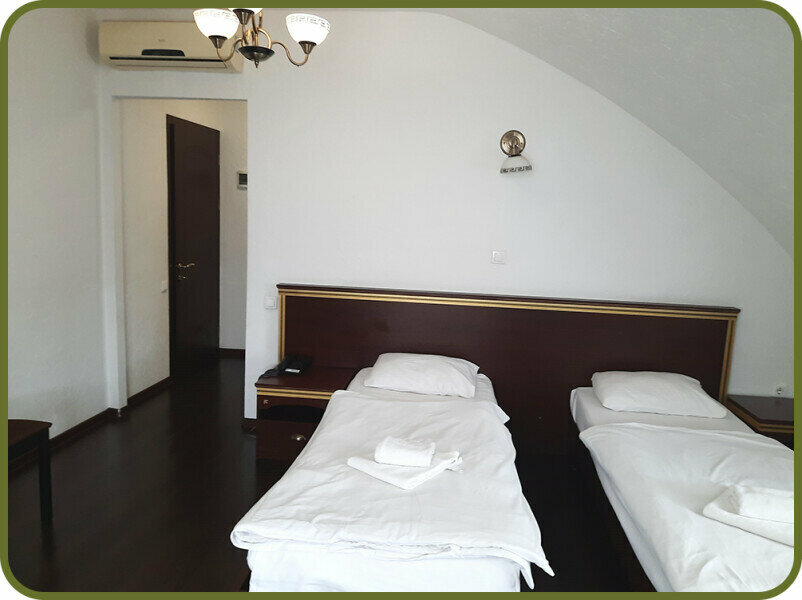 Двухместный номер Делюкс с 2 отдельными кроватями