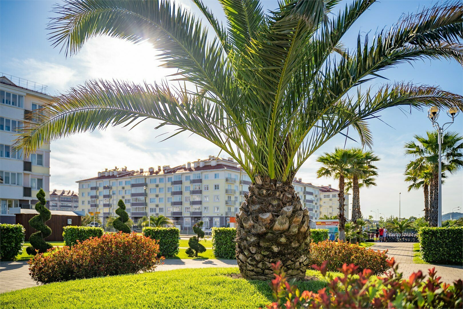 Стандарт 1-местный