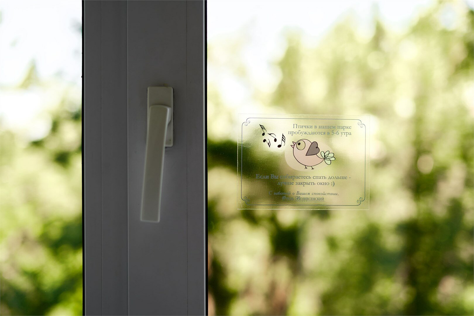 Премиум с видом на парк