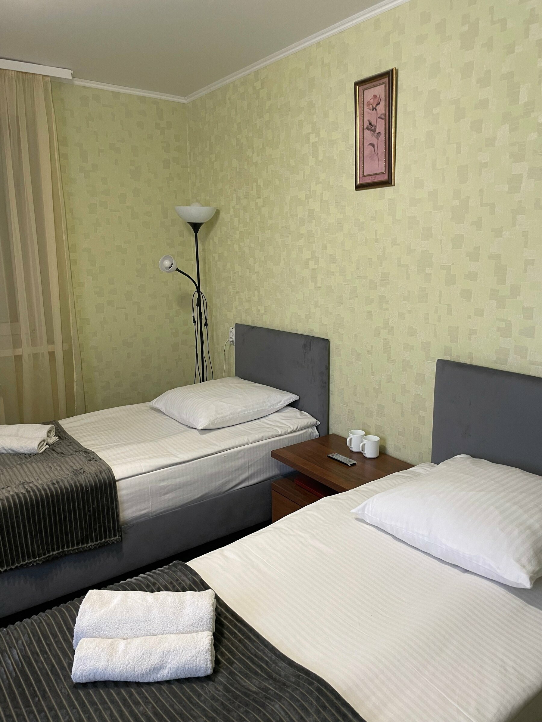 Двухместный номер Делюкс с 1 кроватью или 2 отдельными кроватями