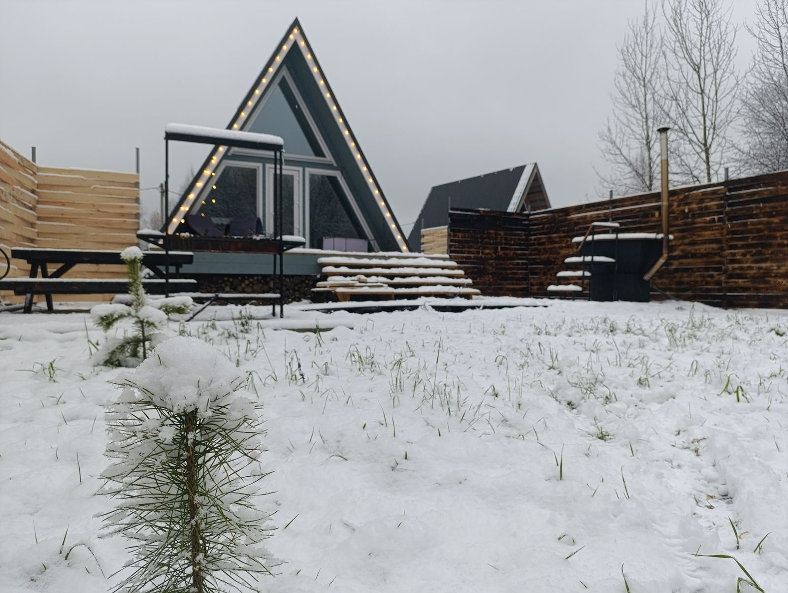 Дом с видом на лес