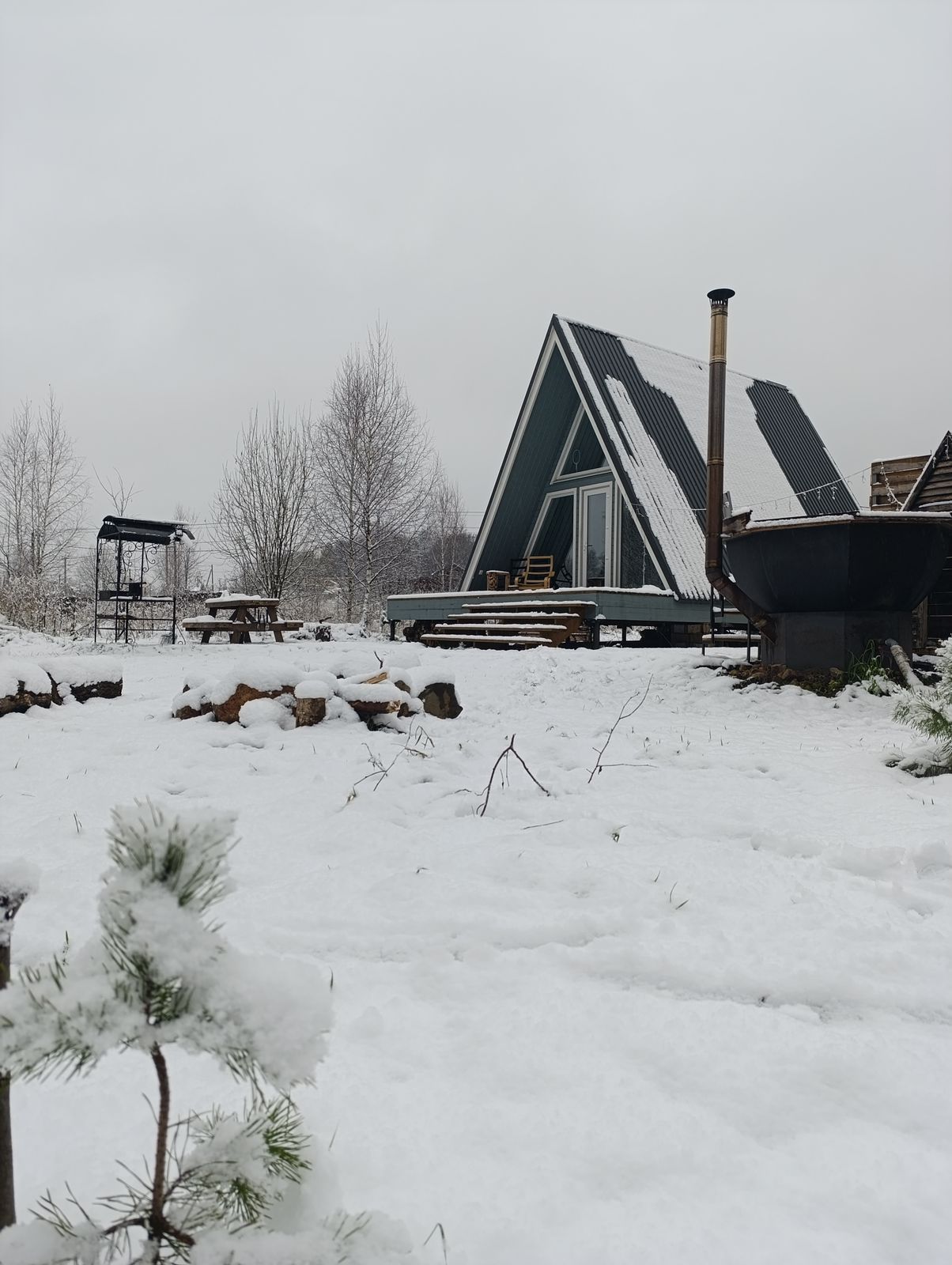 Дом с видом на лес