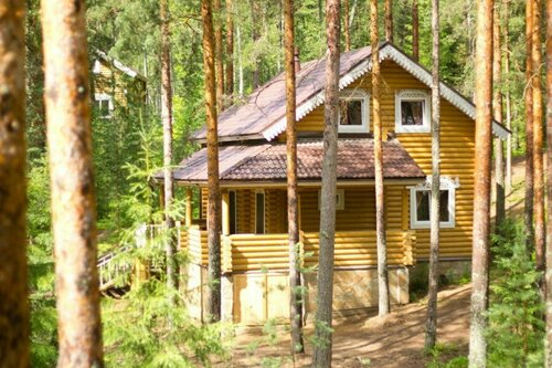 Коттедж с видом на лес